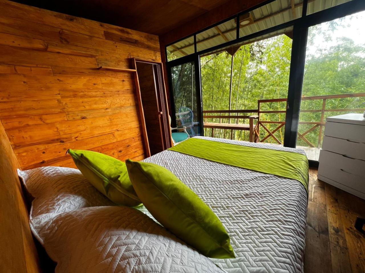 Double Room with Mountain View photo 1