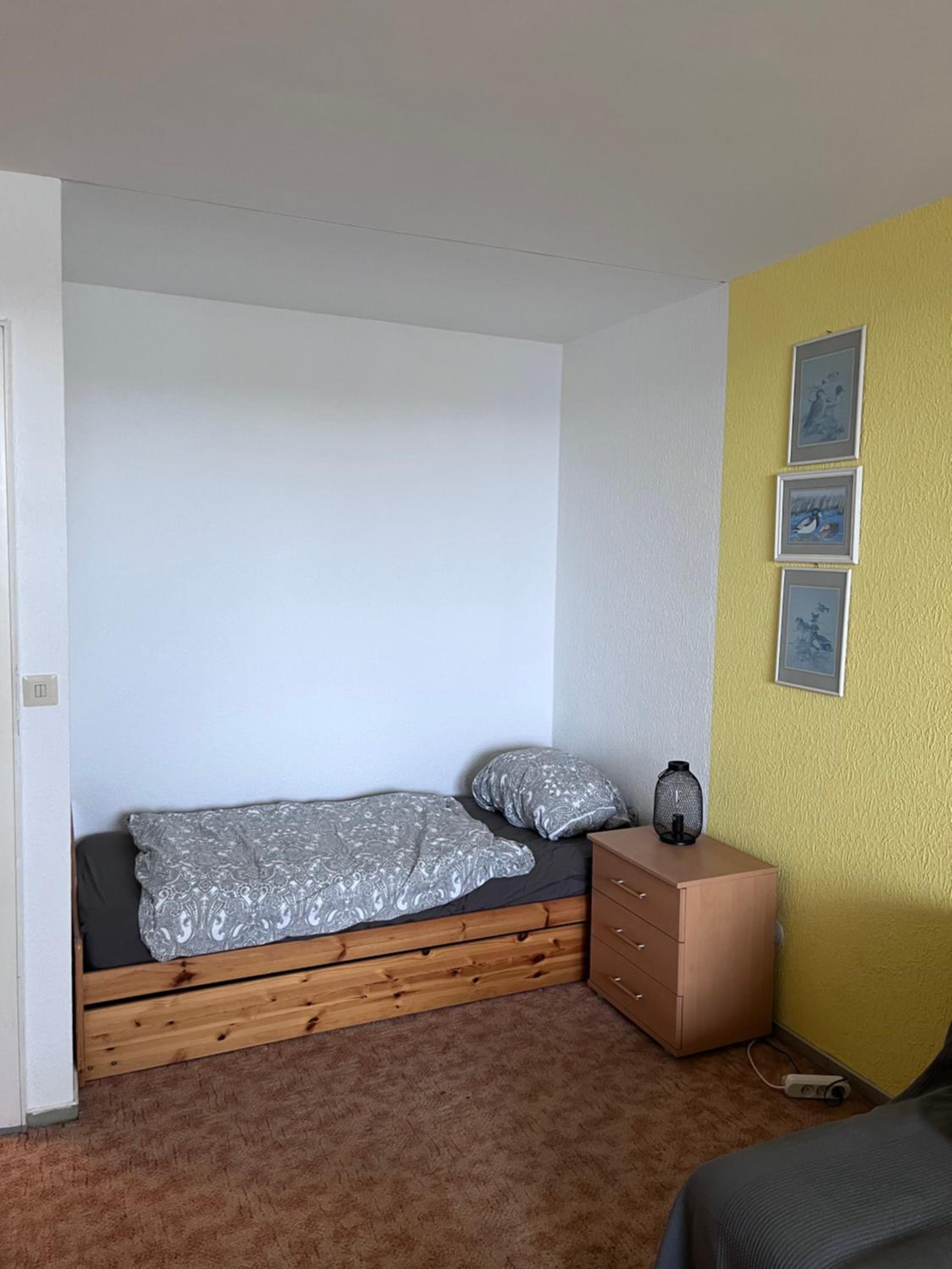 One-Bedroom Apartment photo 3
