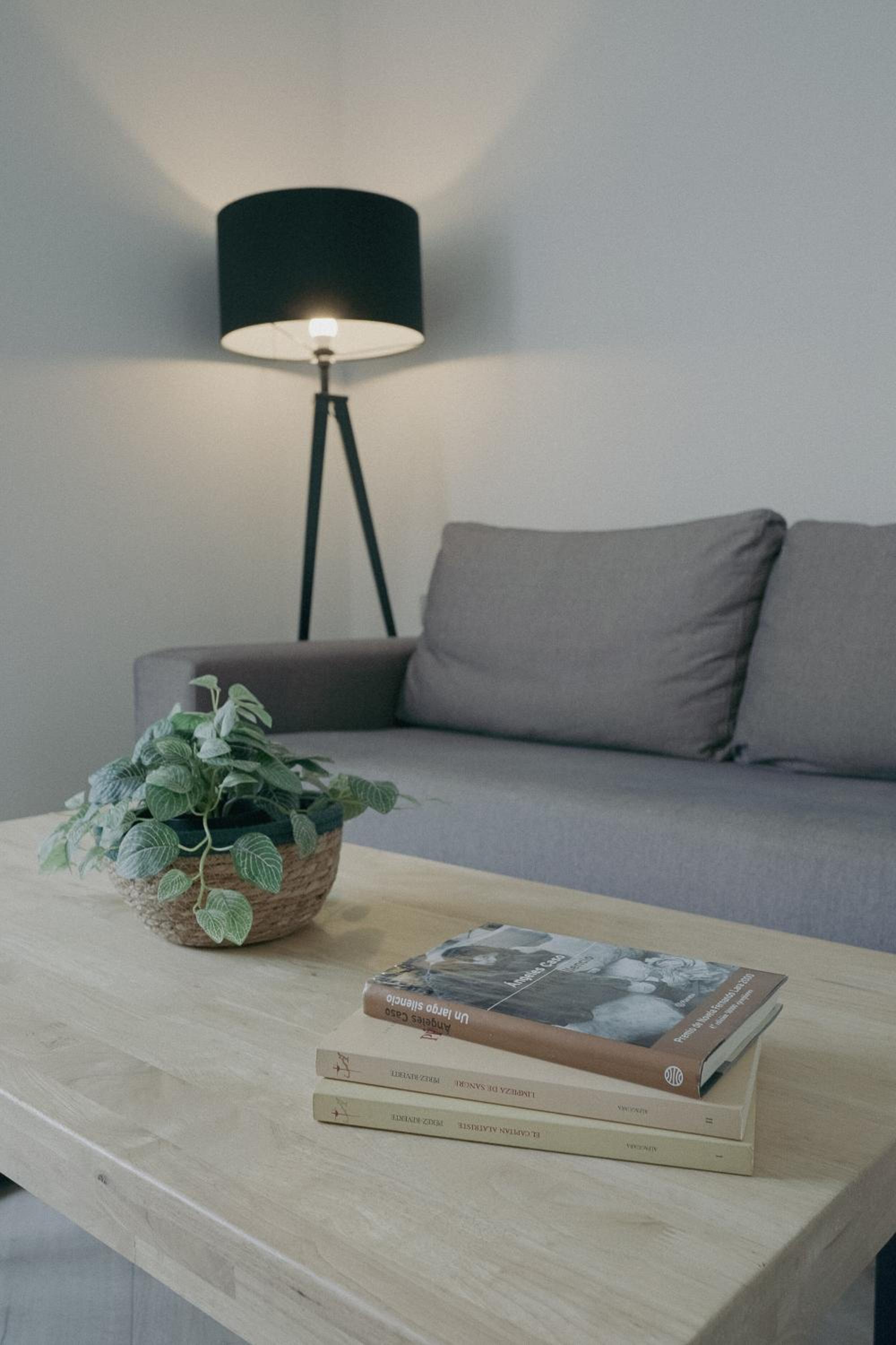 Standard Apartment - Photo 10