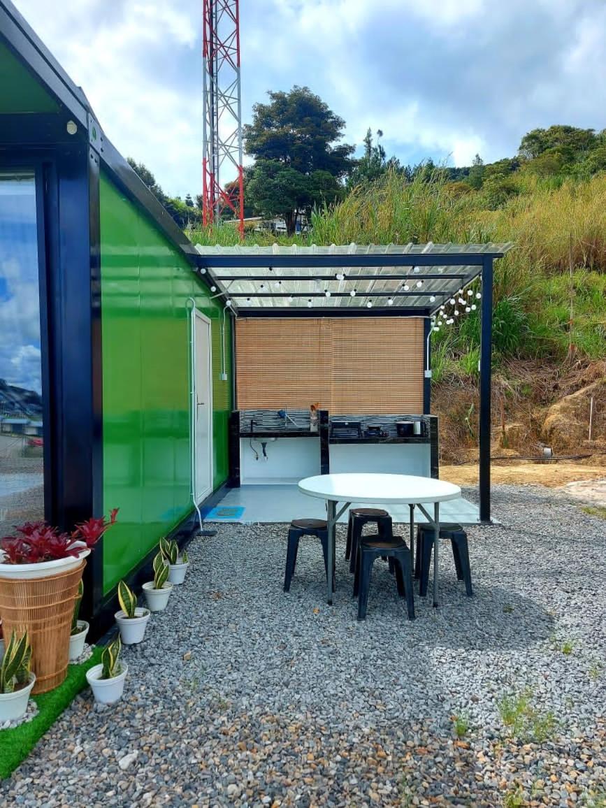 Double Room with Patio