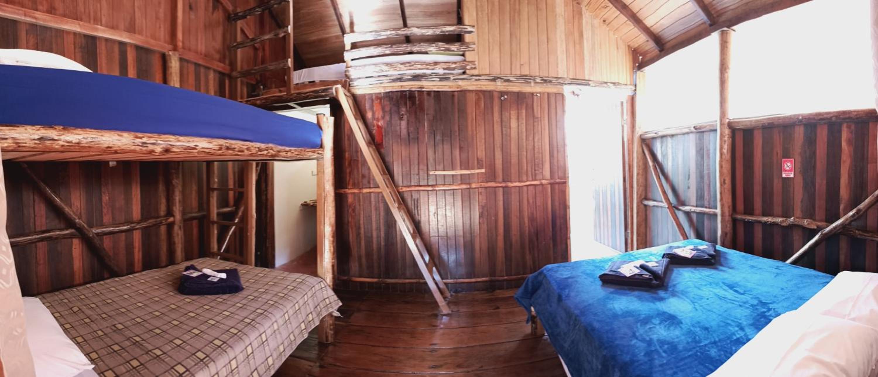 Family Room photo 1