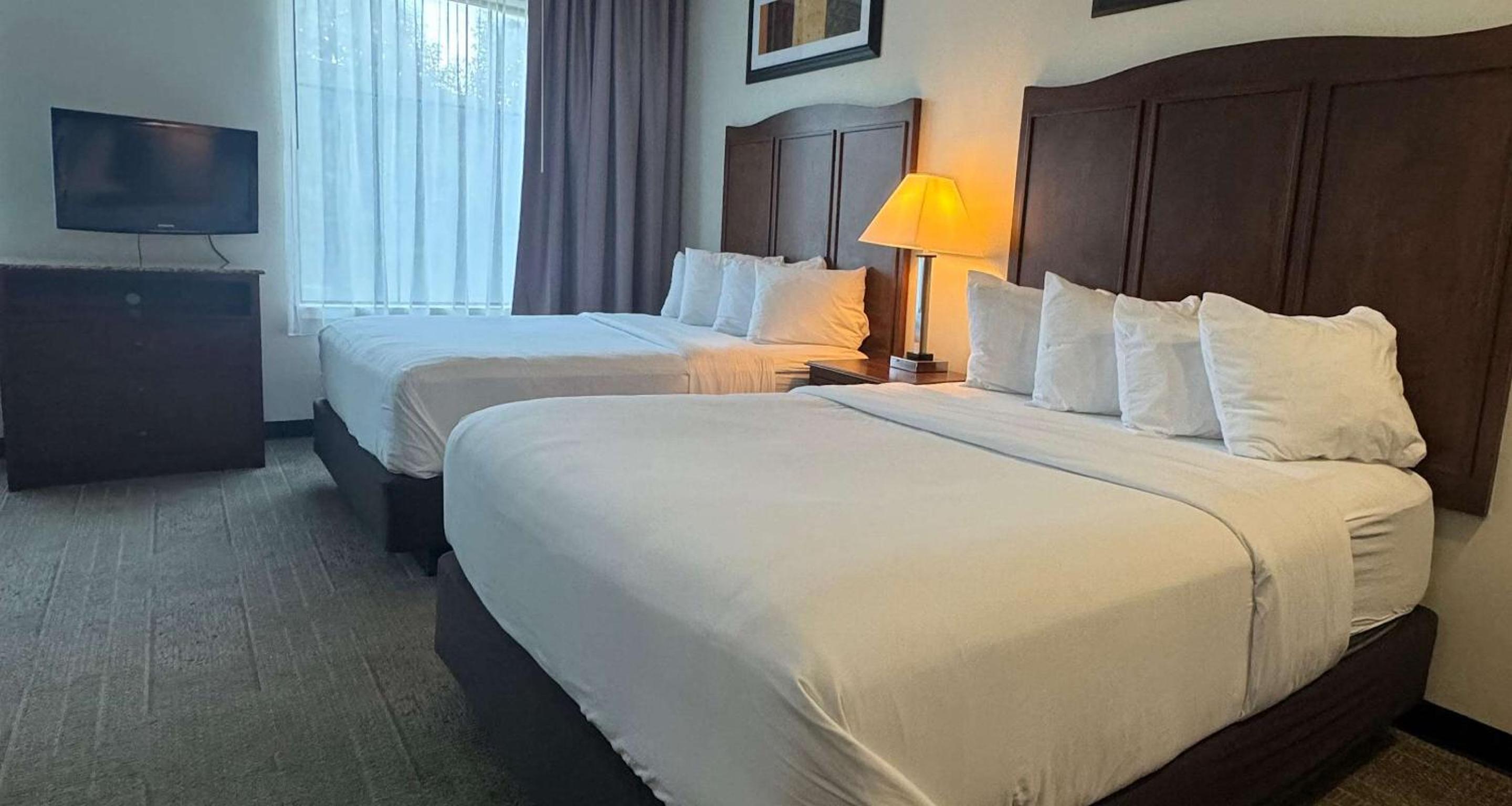 Queen Room with Sofa and Roll-In Shower - Disability Access/Non-Smoking - Photo 5