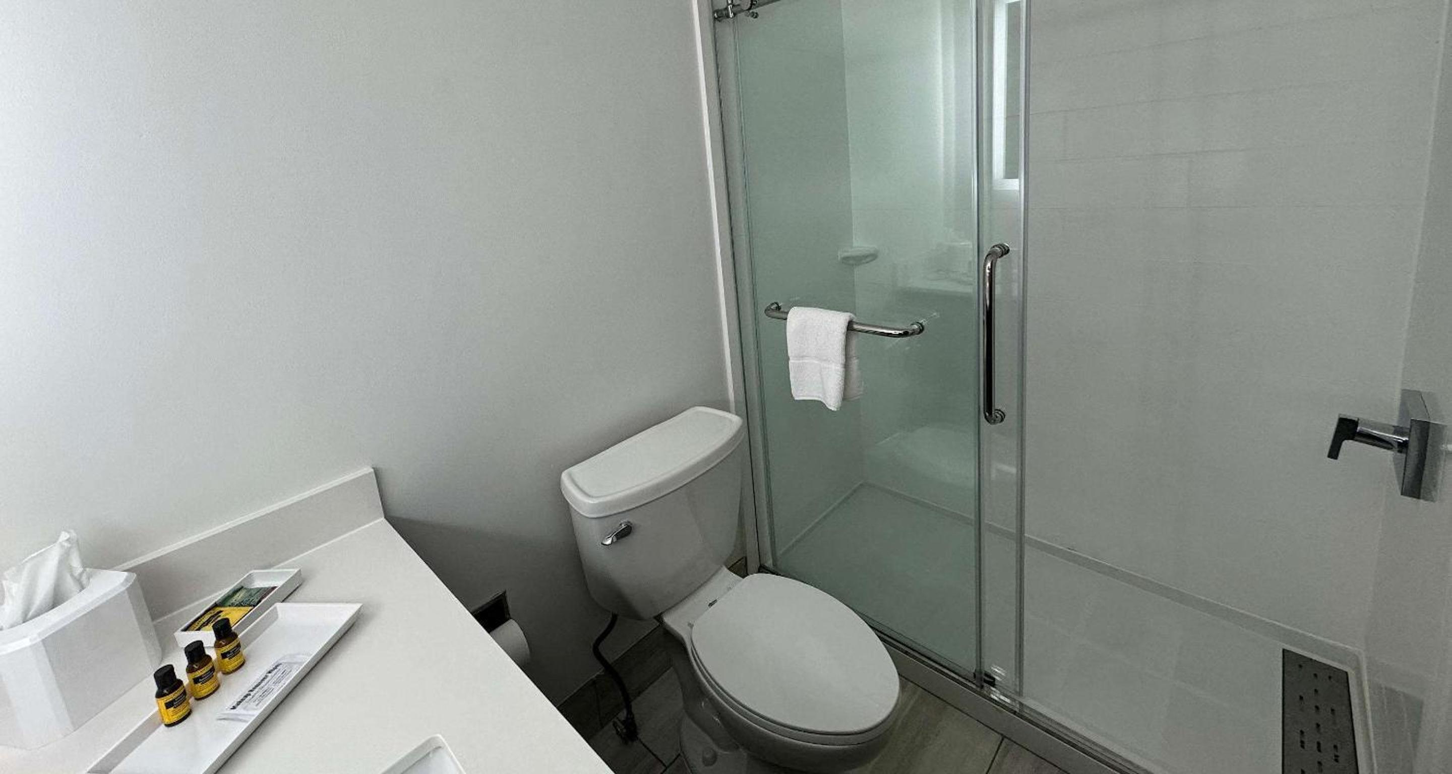 Queen Room with Sofa and Roll-In Shower - Disability Access/Non-Smoking - Photo 2