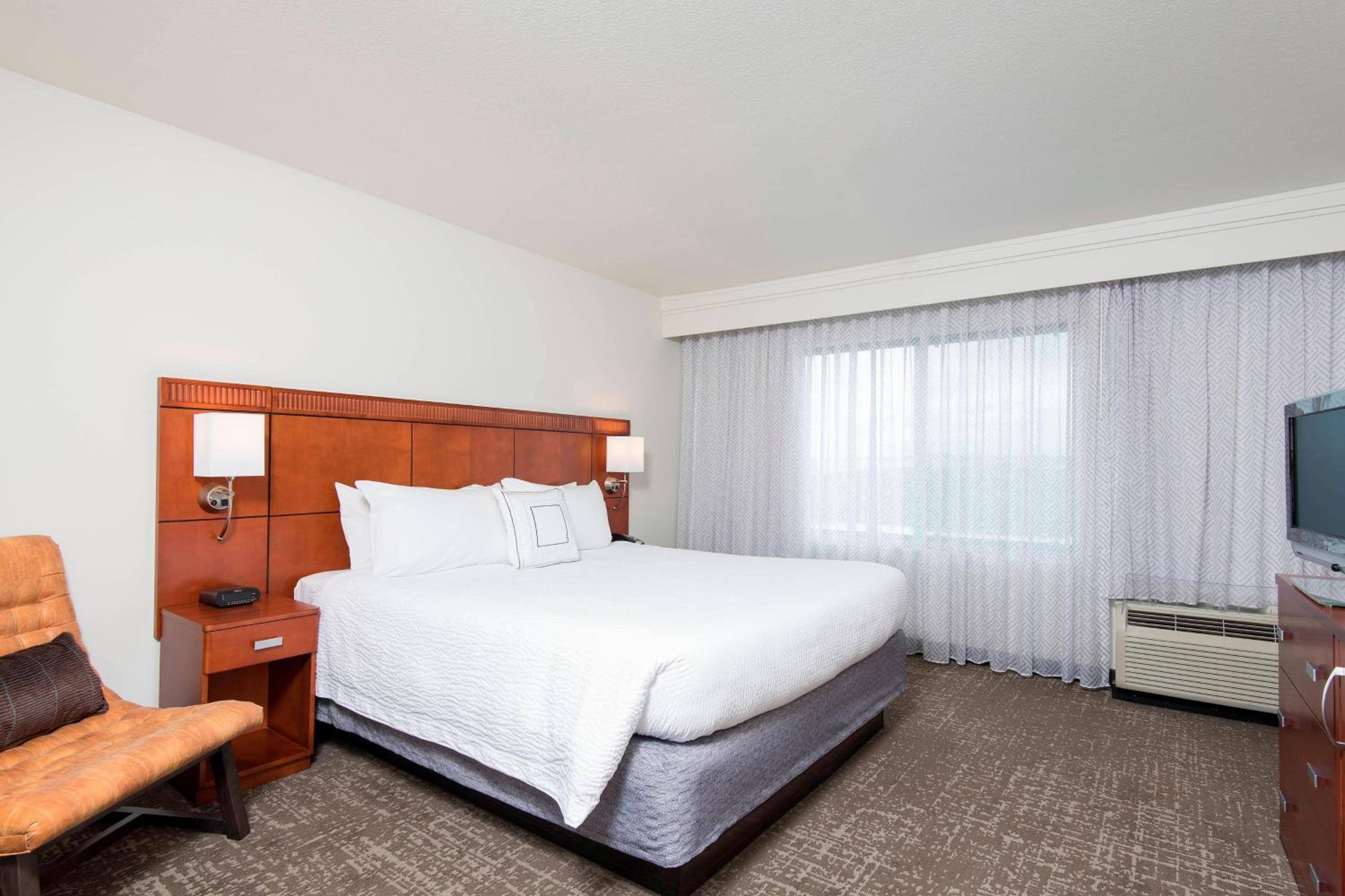 Suite, 1 King, Sofa bed