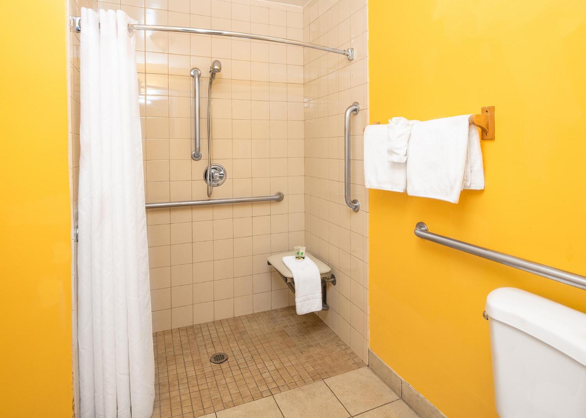 King Room with Roll-In Shower - Accessible/Non-Smoking - Photo 6