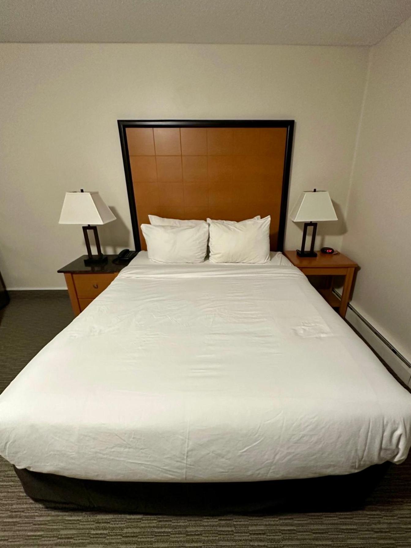 King Suite photo 3