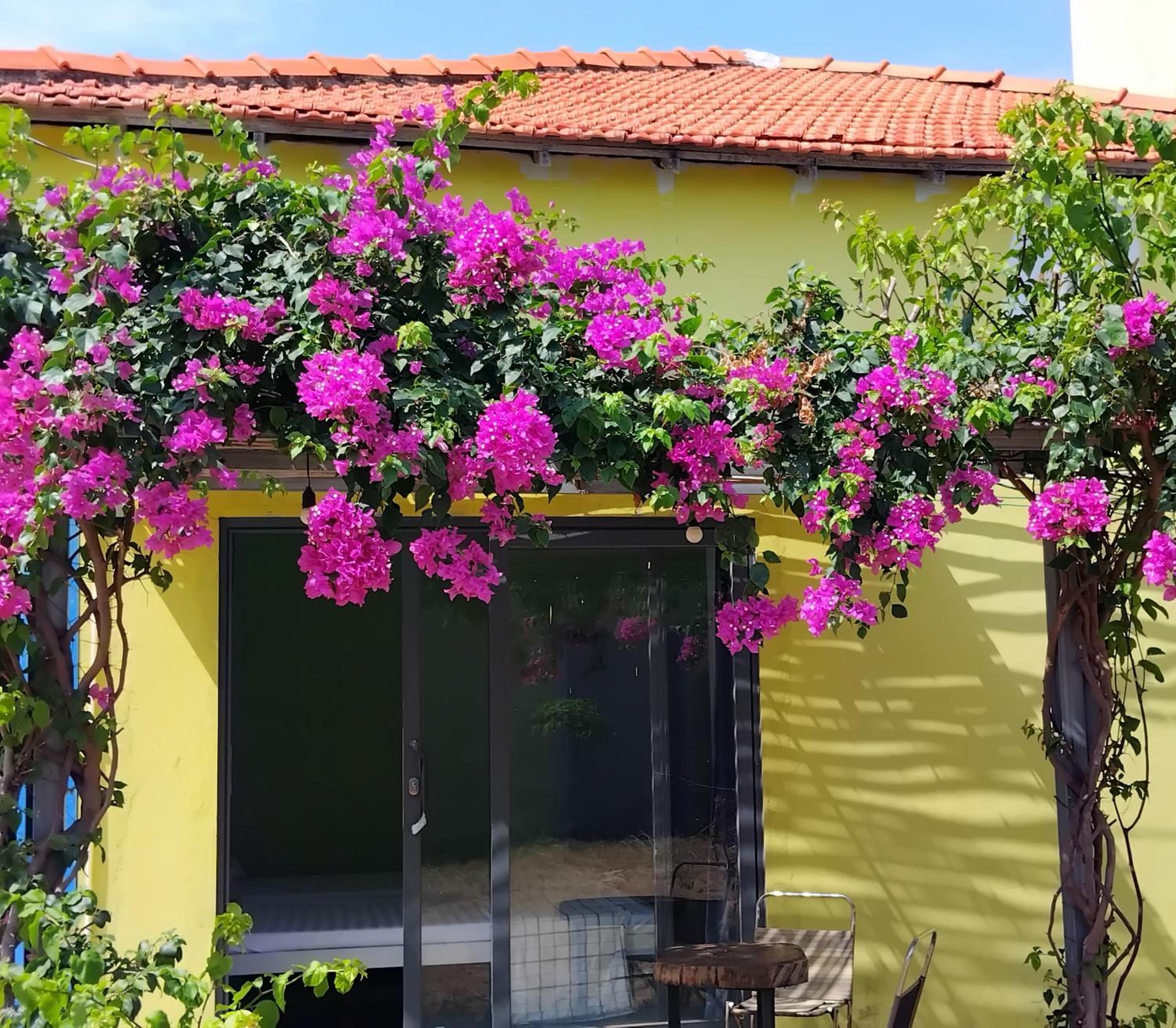 Double or Twin Room with Garden View photo 3