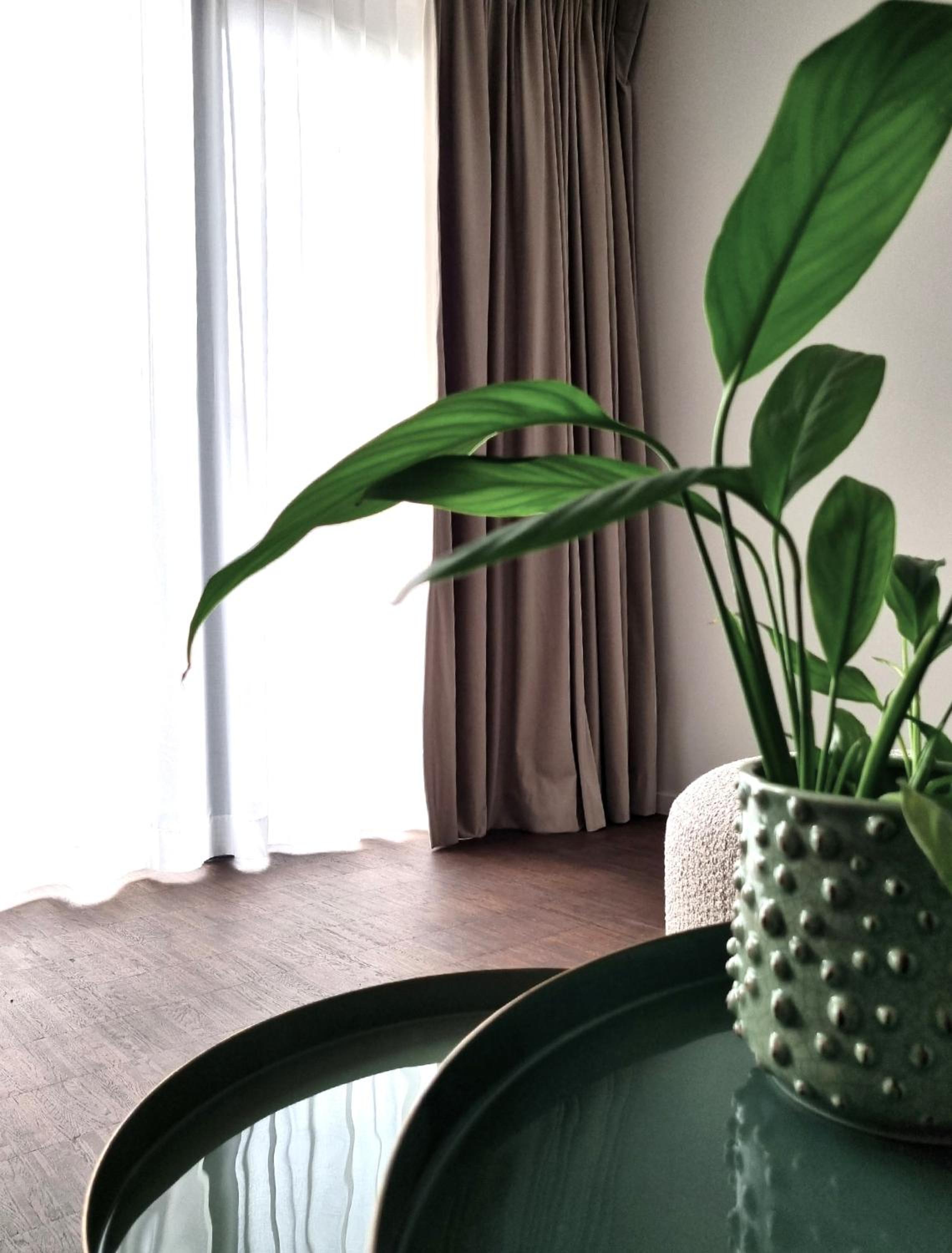 Modern Suite - Photo 2