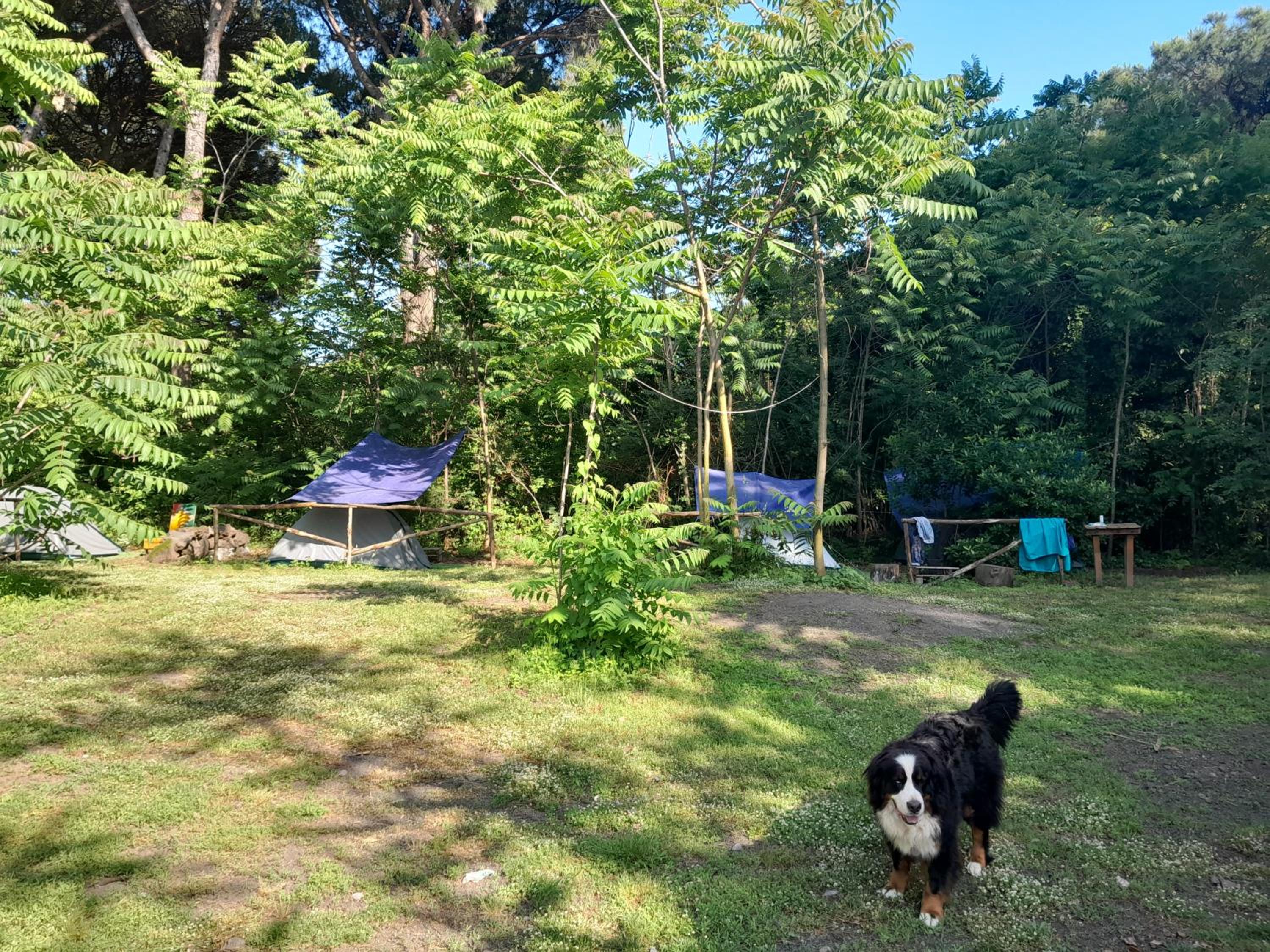 Tent photo 2