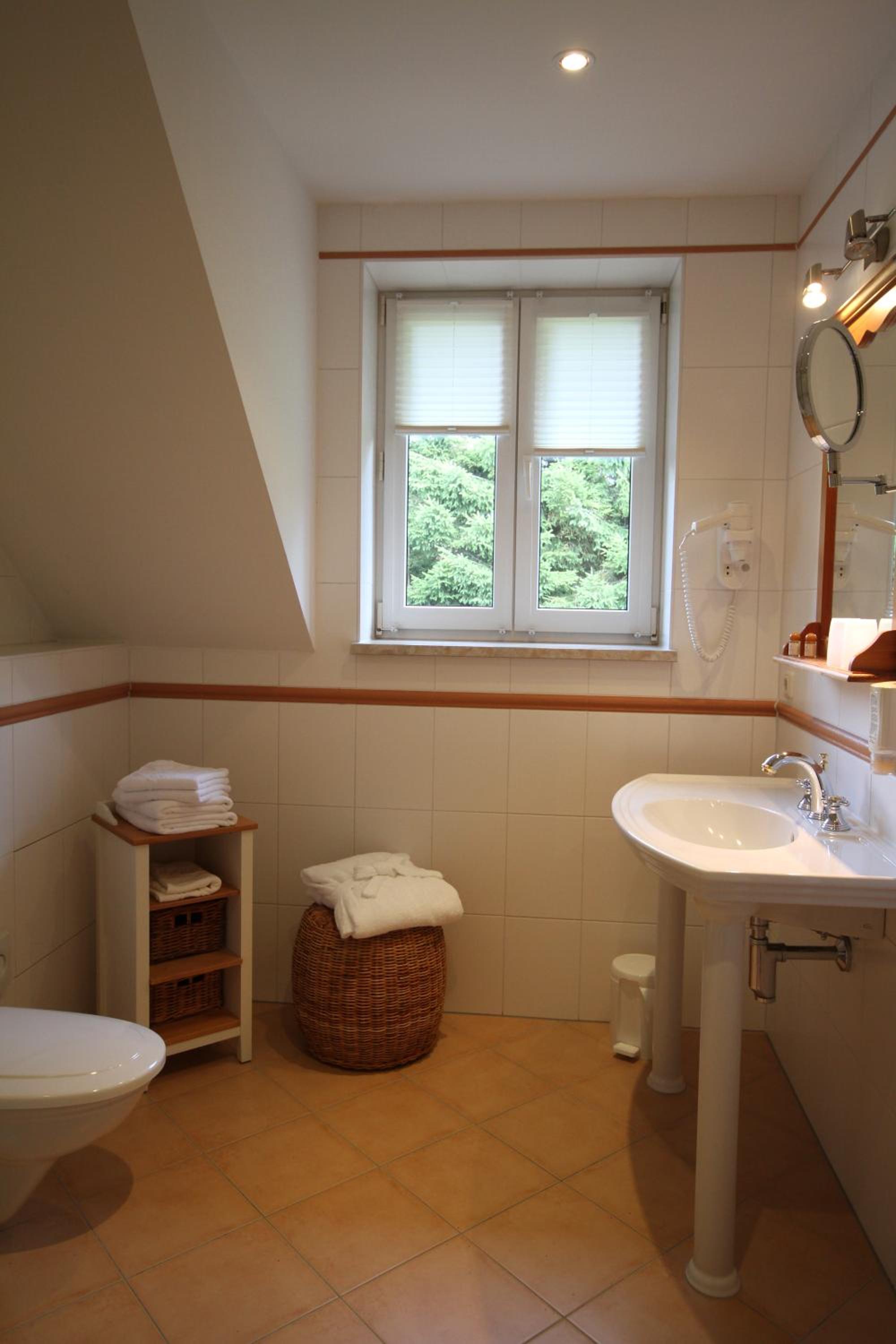 Deluxe Double or Twin Room photo 3