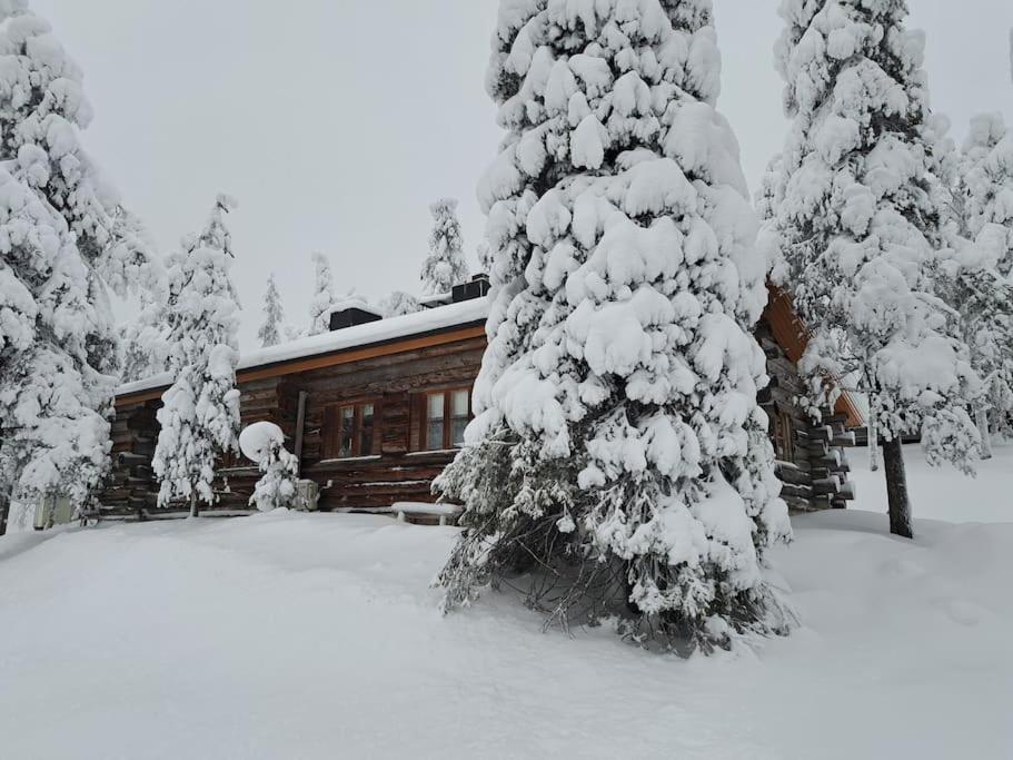 Two-Bedroom Chalet photo 3