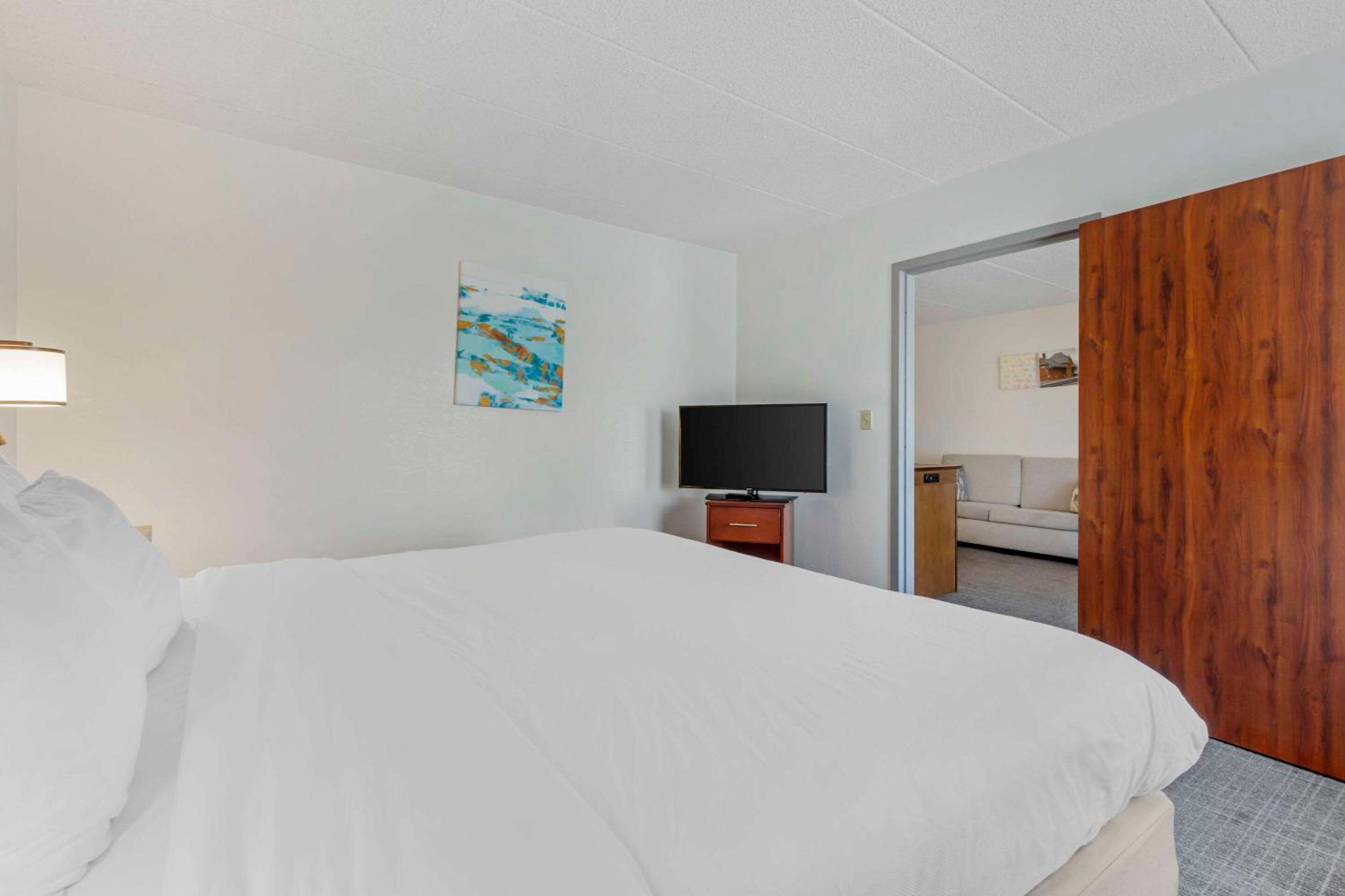 King Suite with Sofa Bed - Non Smoking - Photo 4
