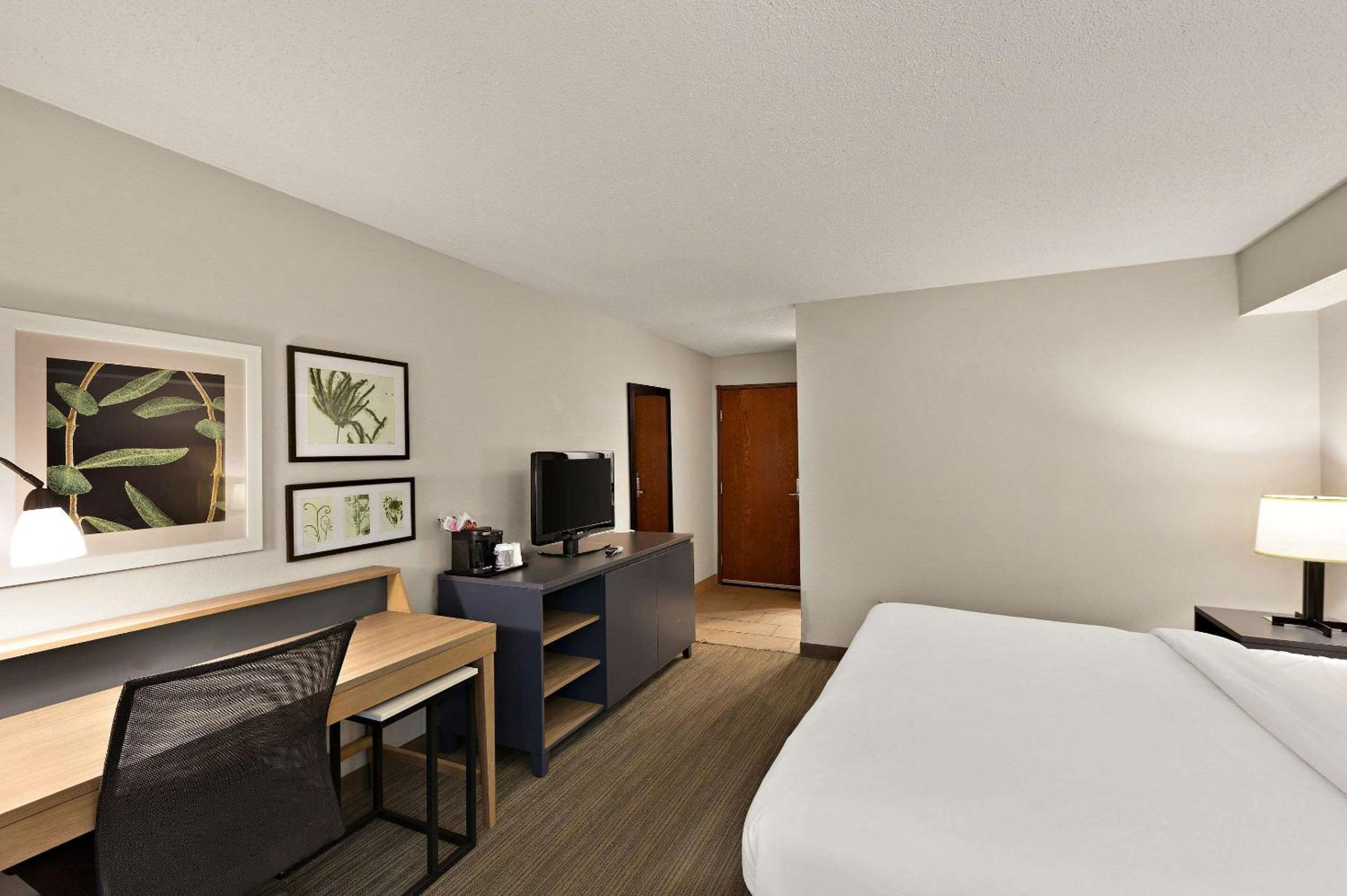 One-Bedroom Suite - Photo 1