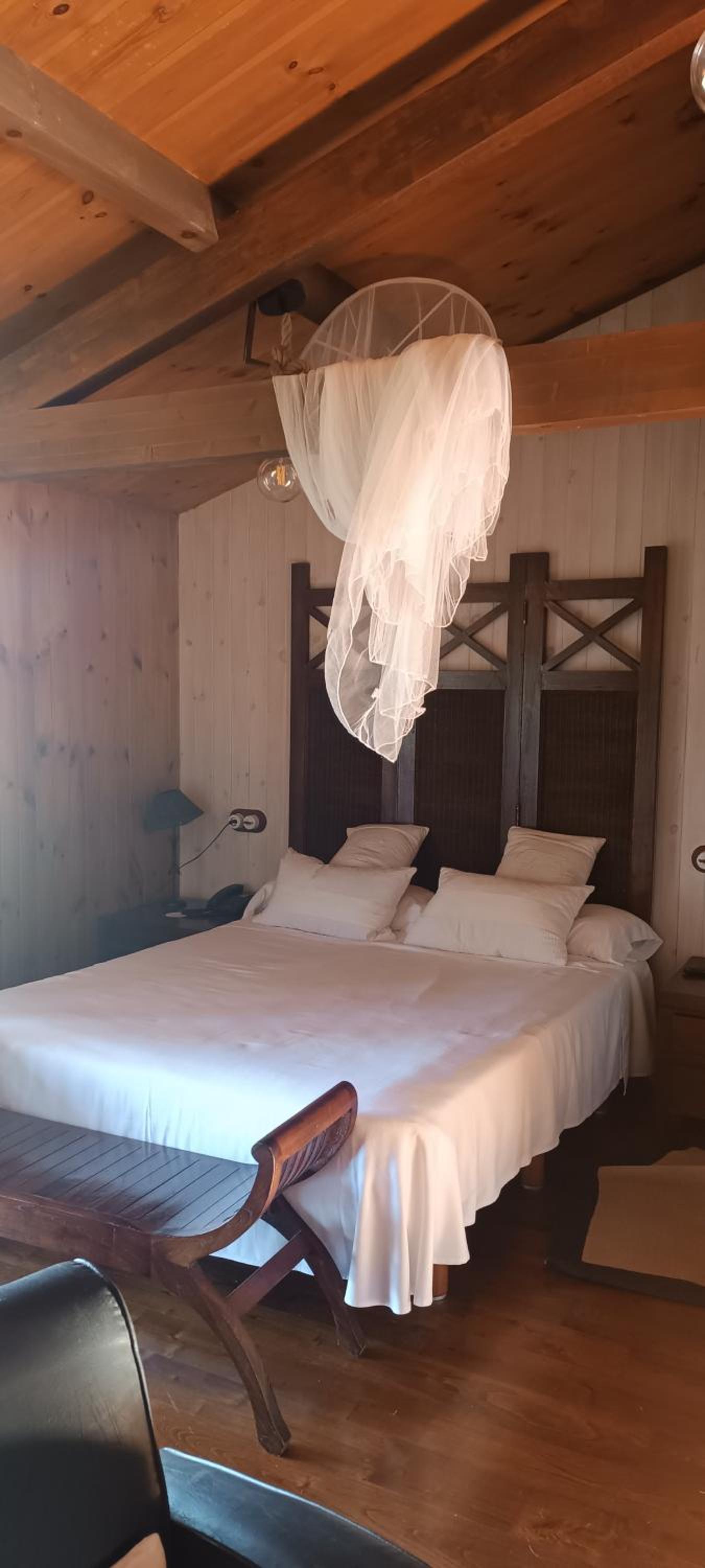 Suite Junior con Terraza