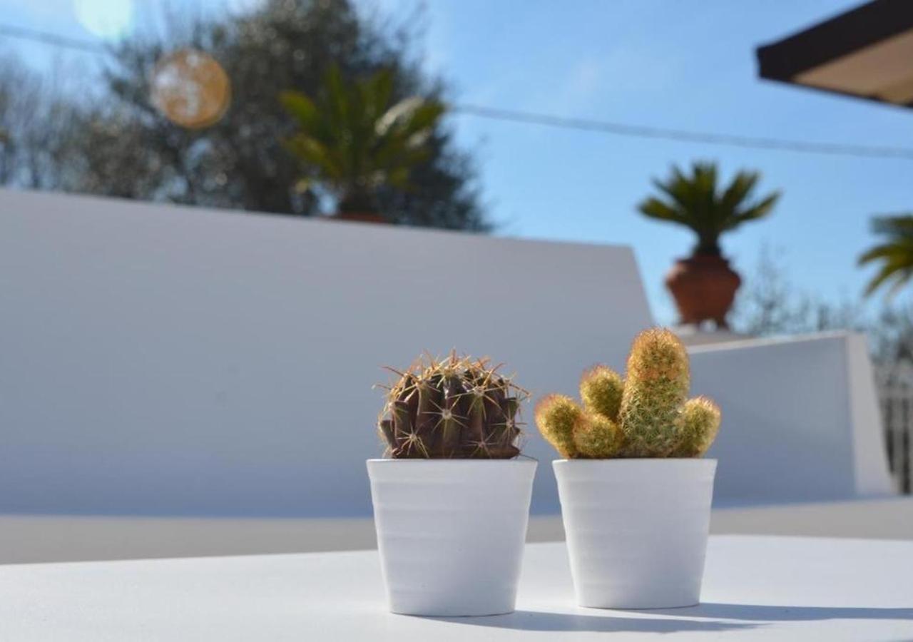 Studio with Balcony and Sea View (3 Adults) - Photo 18
