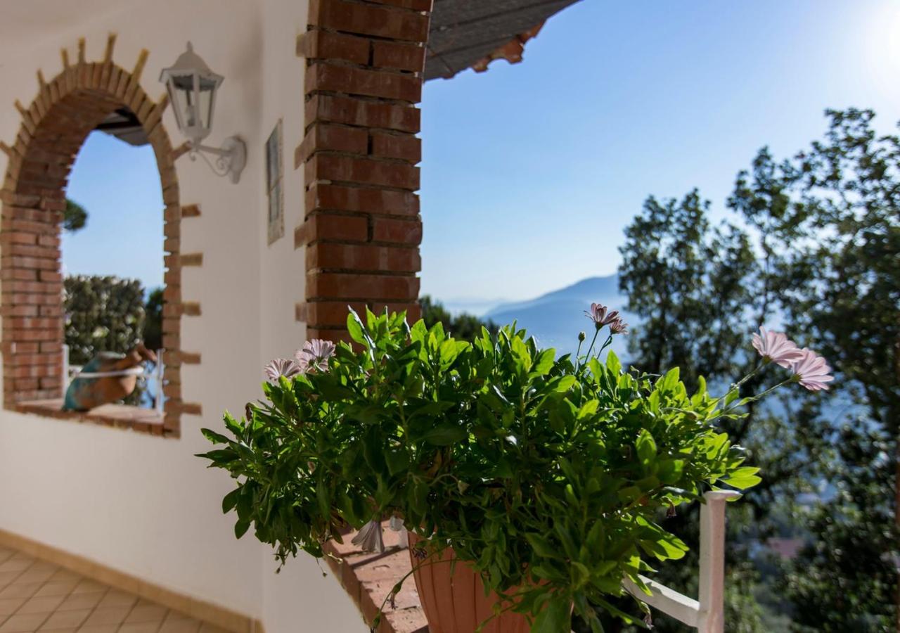 Studio with Balcony and Sea View (3 Adults) - Photo 27