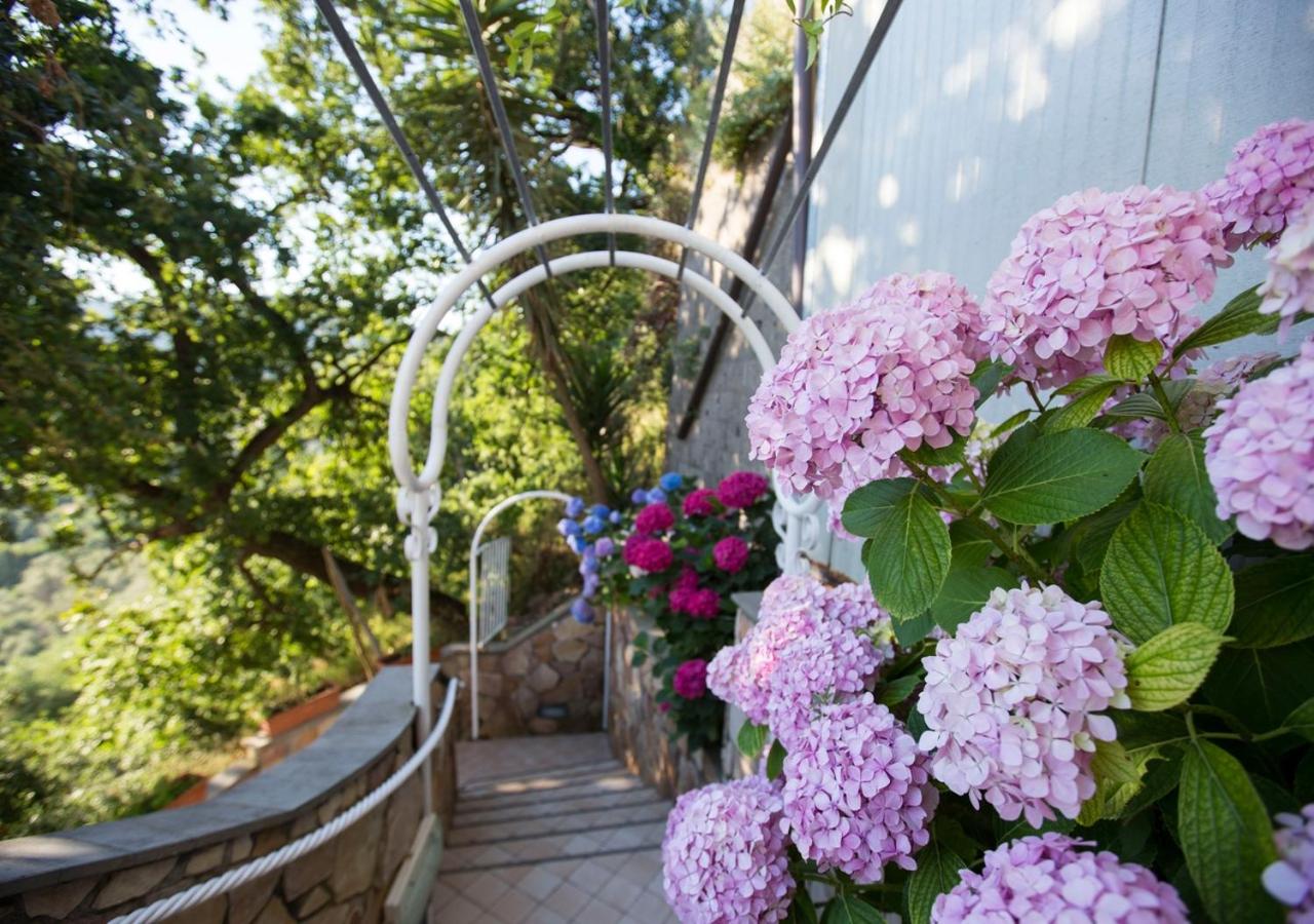 Studio with Balcony and Sea View (3 Adults) - Photo 16