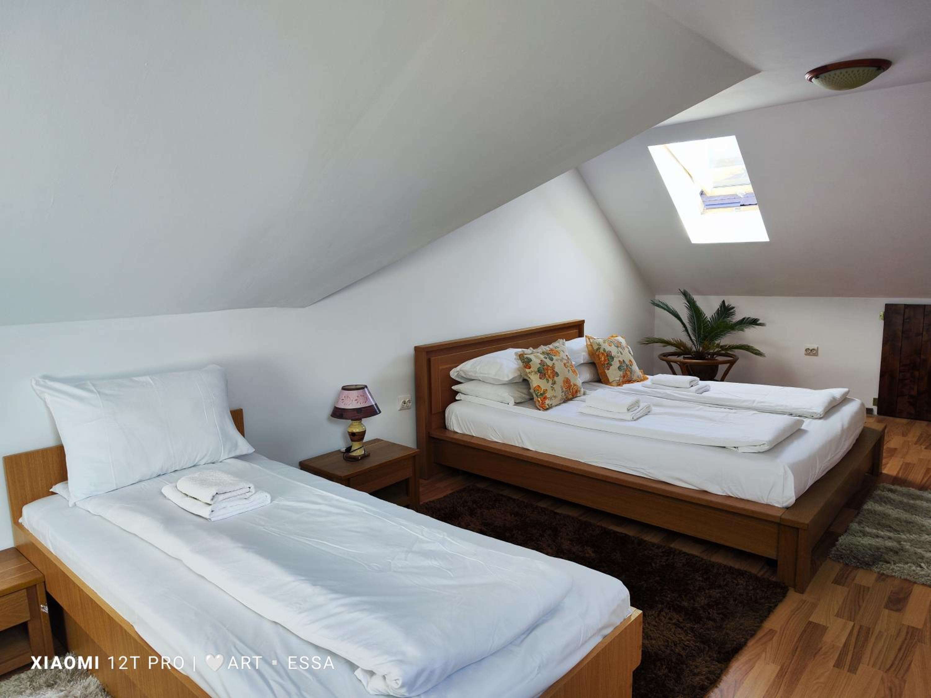 Junior Suite with Terrace