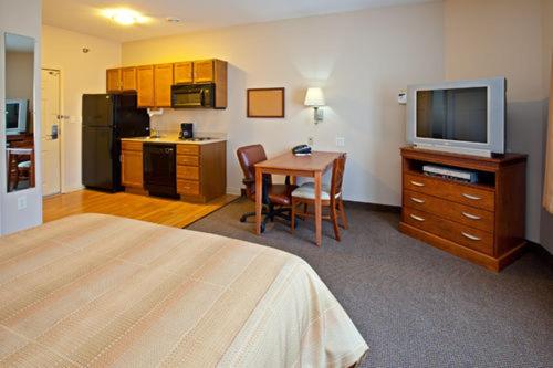 Studio Suite - Photo 1