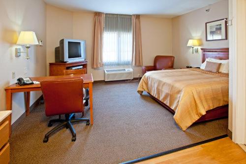 Studio Suite - Photo 7