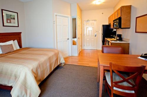 Studio Suite - Photo 6