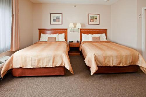 Studio Suite - Photo 4