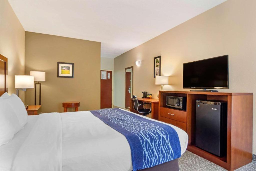 Efficiency Queen Suite with Sofa-Bed - Non-Smoking