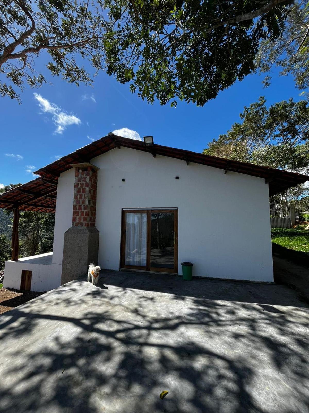 Three-Bedroom House photo 3