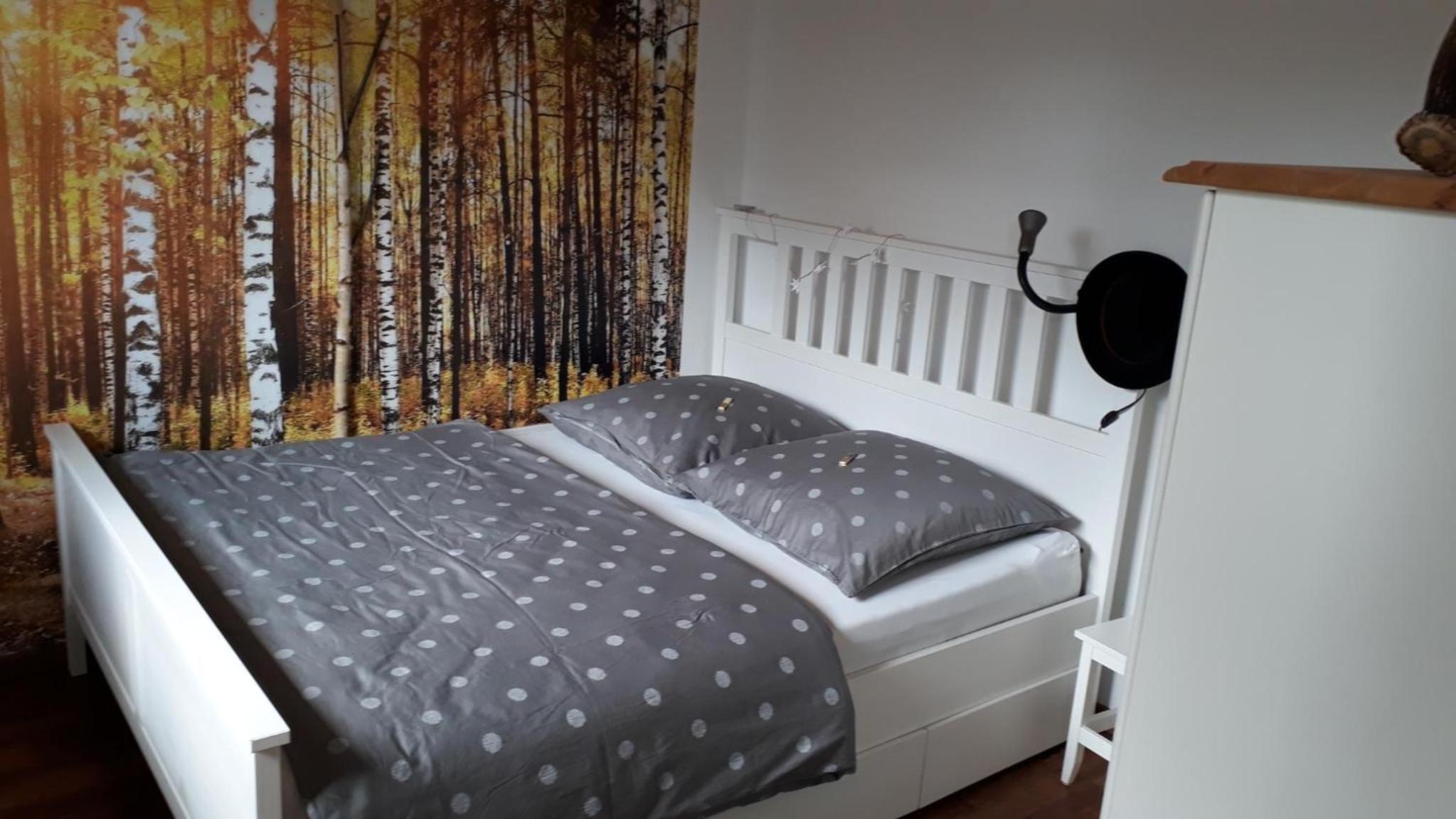 One-Bedroom House photo 1