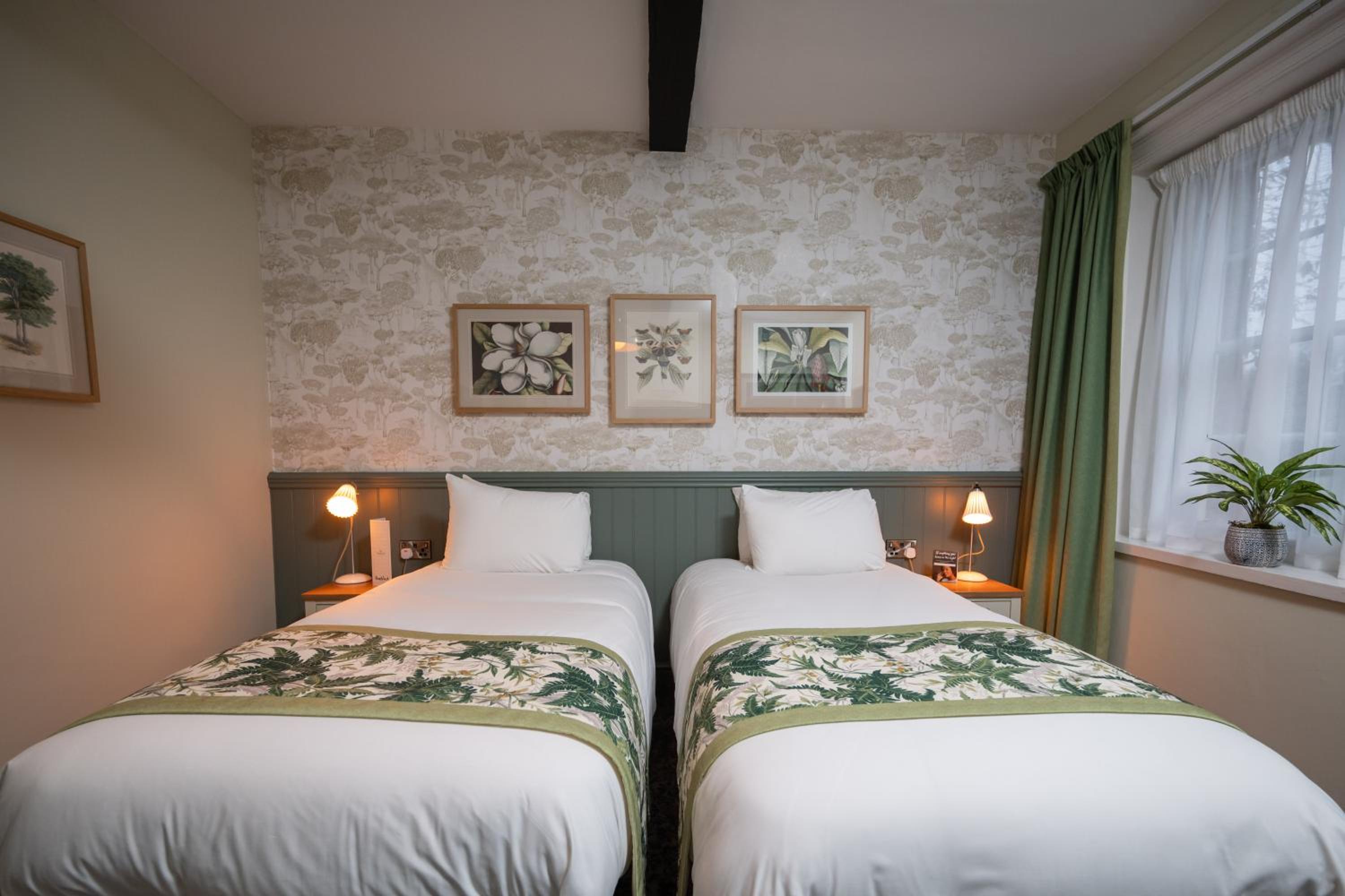 Twin Room photo 2