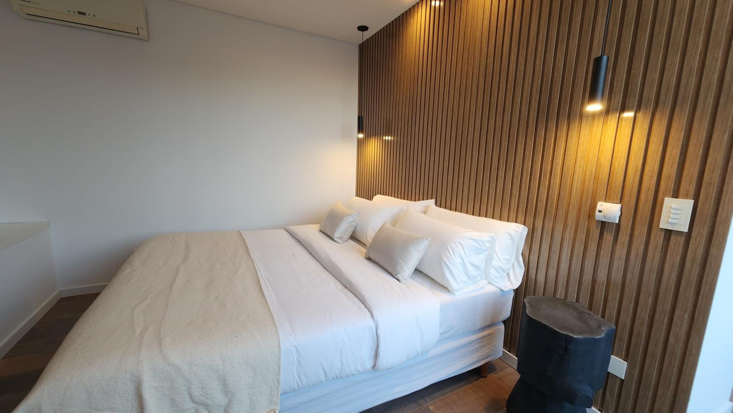 Duplex Apartment photo 3