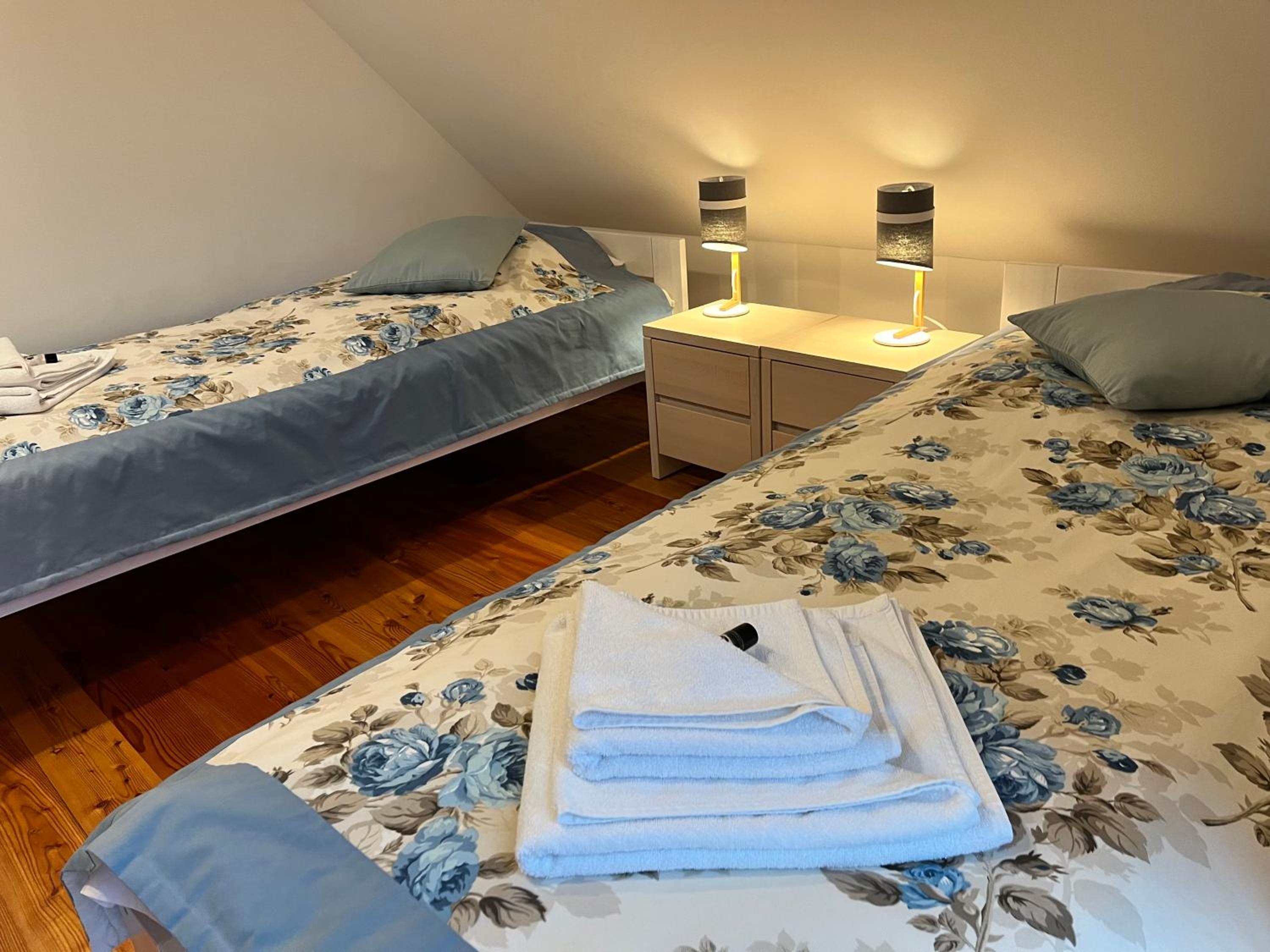 Twin Room with Mountain View photo 1