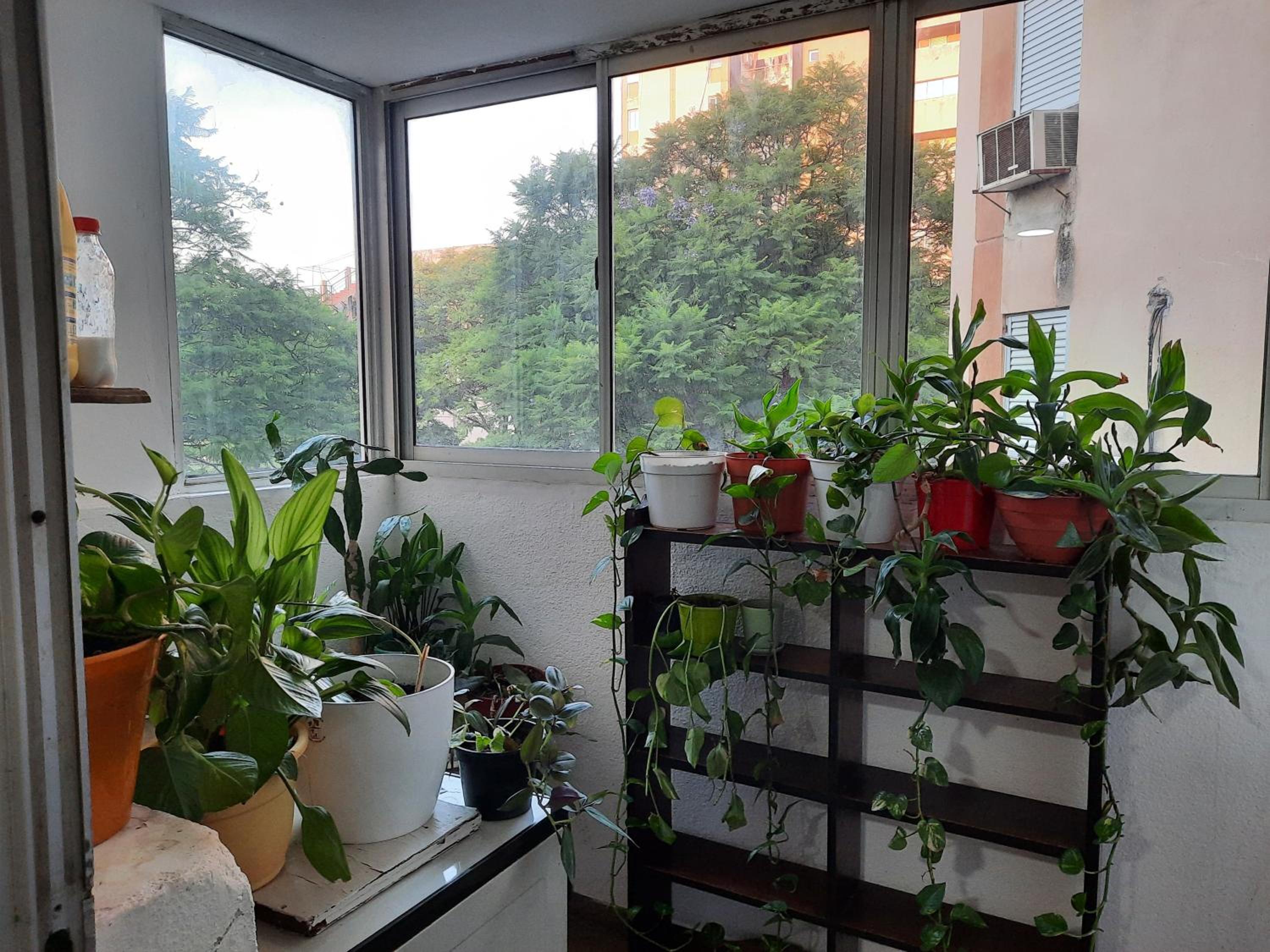 Two-Bedroom Apartment photo 3