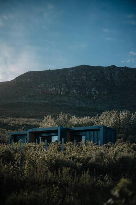 Family Bungalow - Photo 29