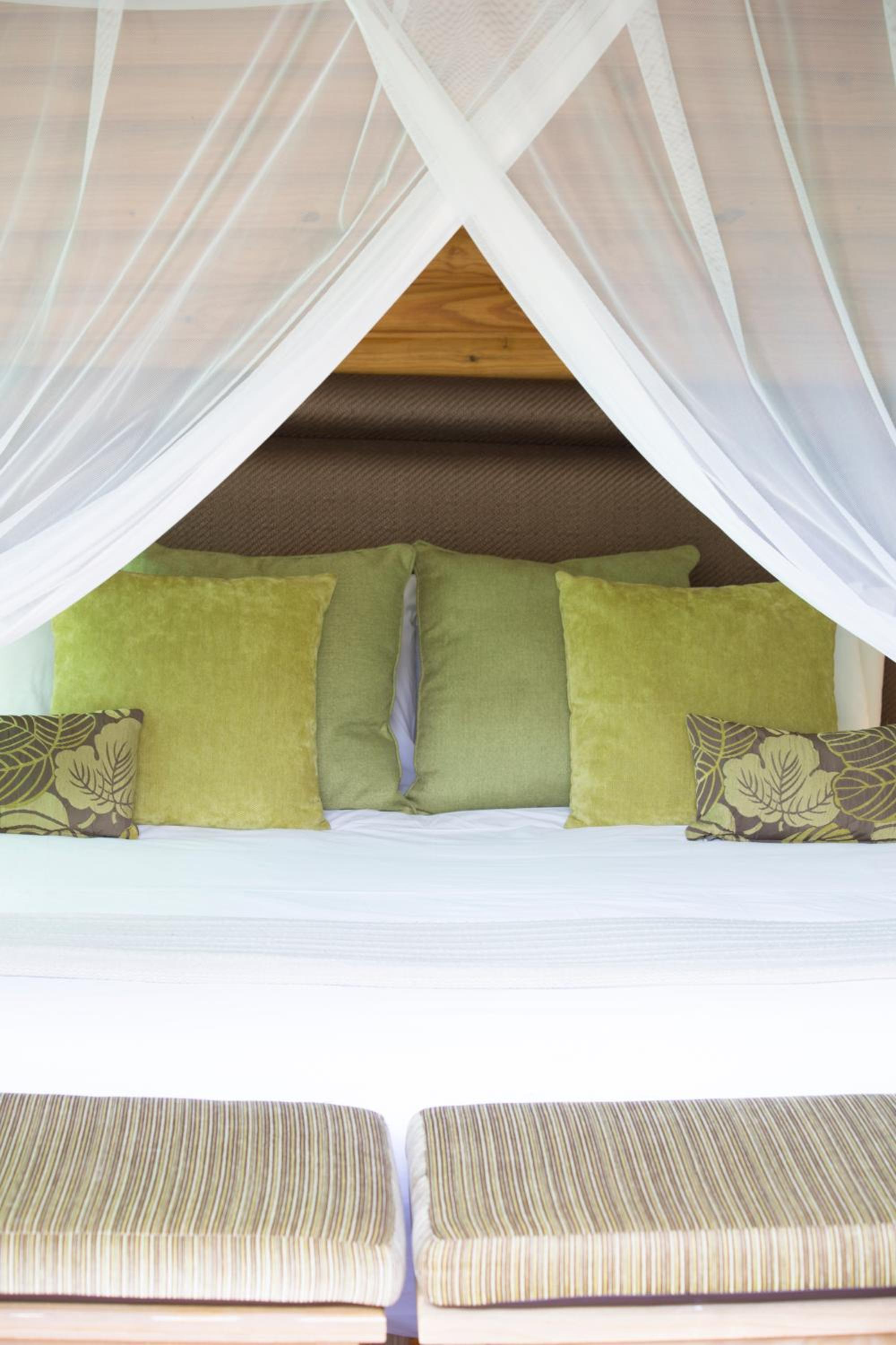 Standard Tent - Photo 1