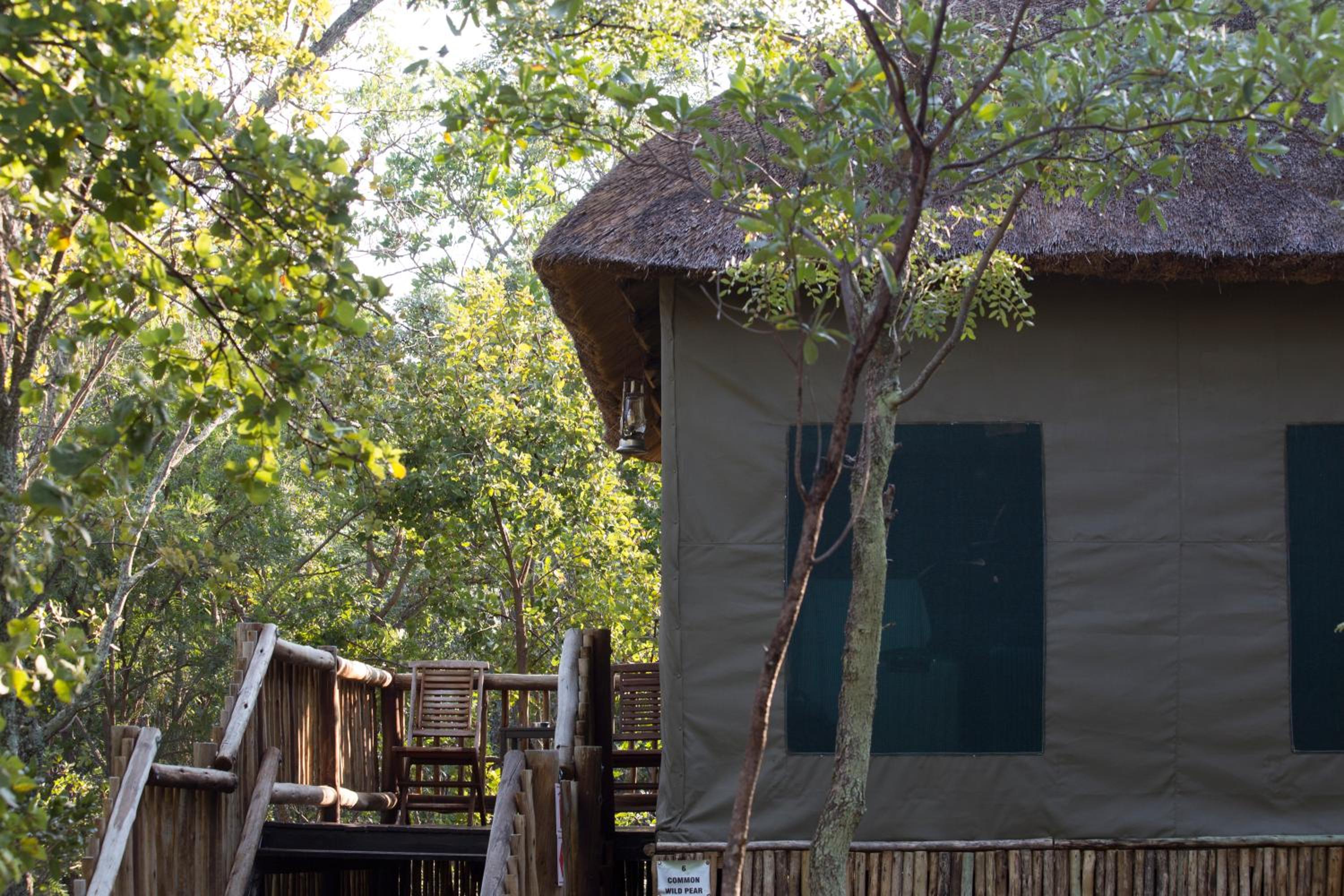Standard Tent - Photo 11