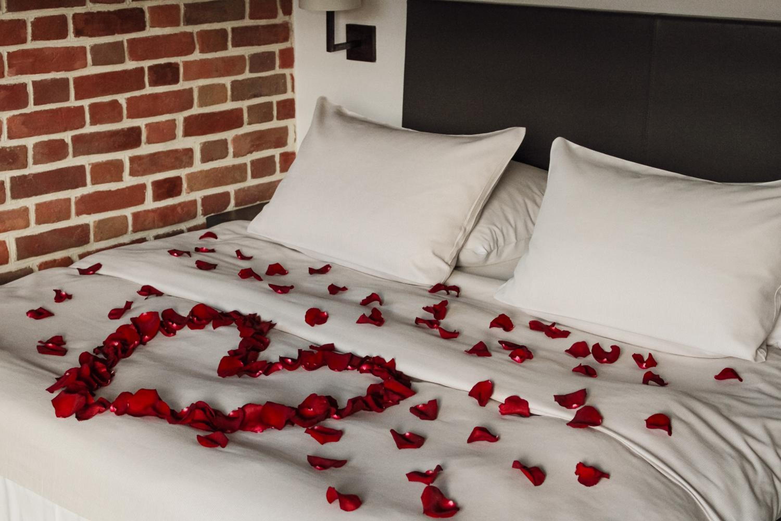 Premium Suite - Photo 3