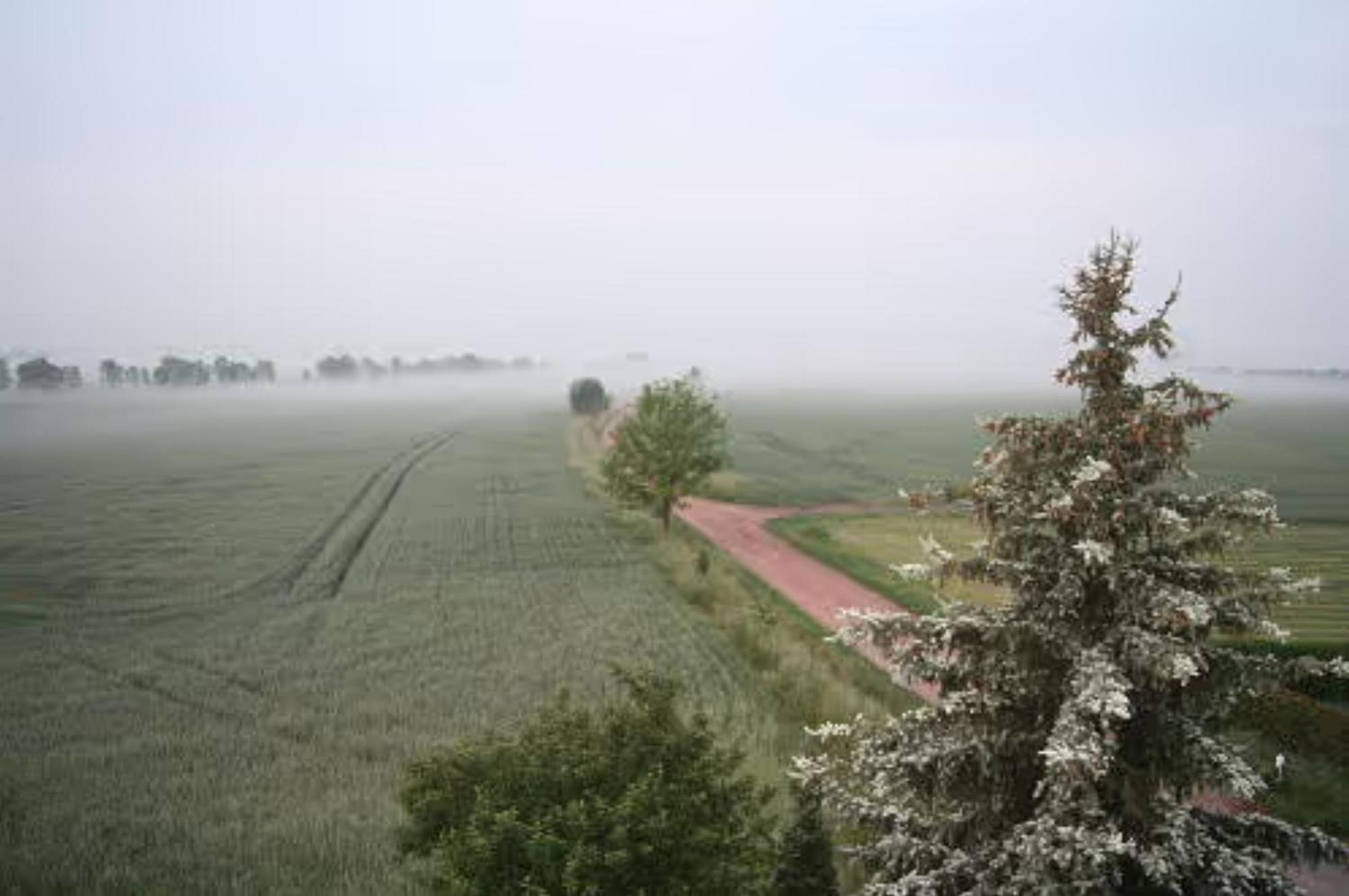 One-Bedroom Apartment with Garden View photo 3