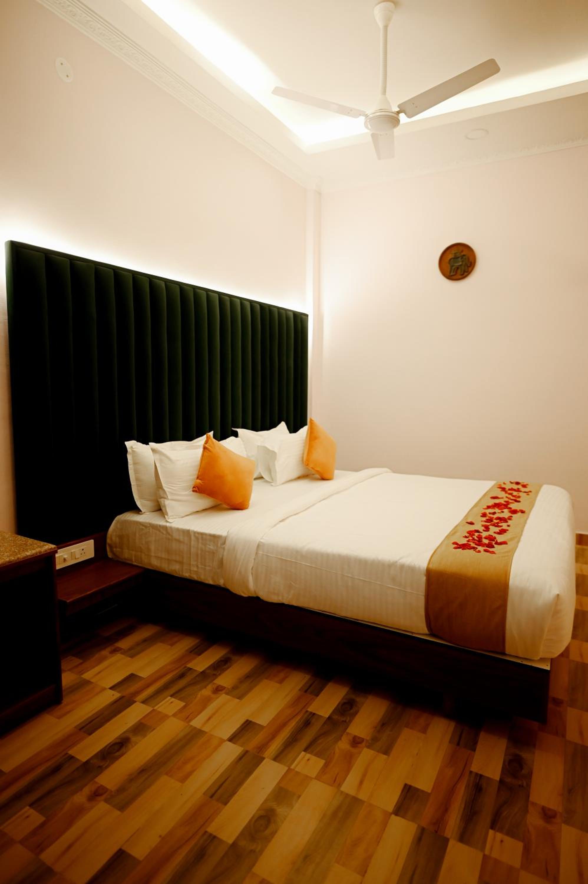 Studio with Sofa Bed photo 2