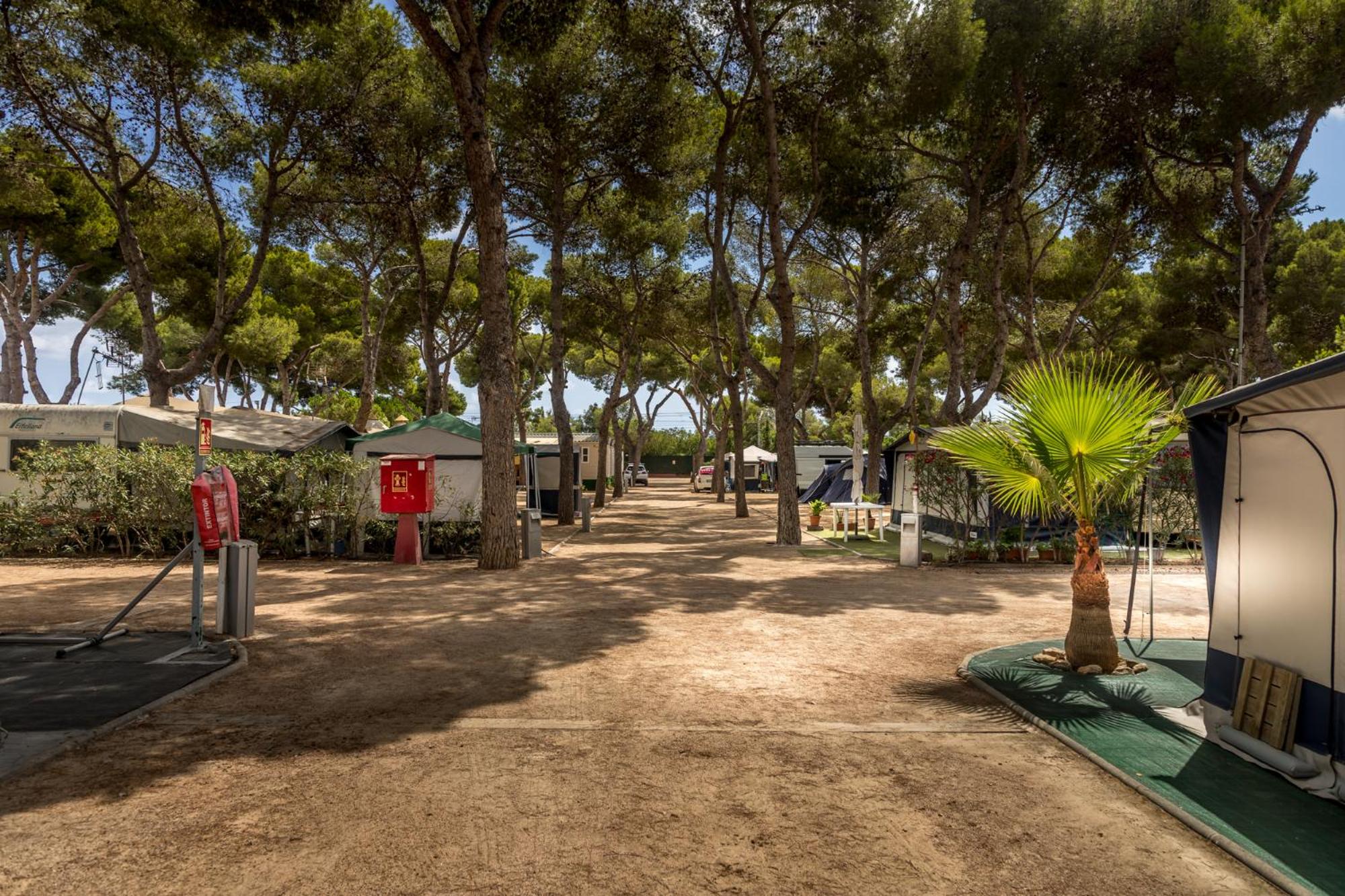 Terreno Vacío (Trae tu Tienda de Campaña o Caravana)