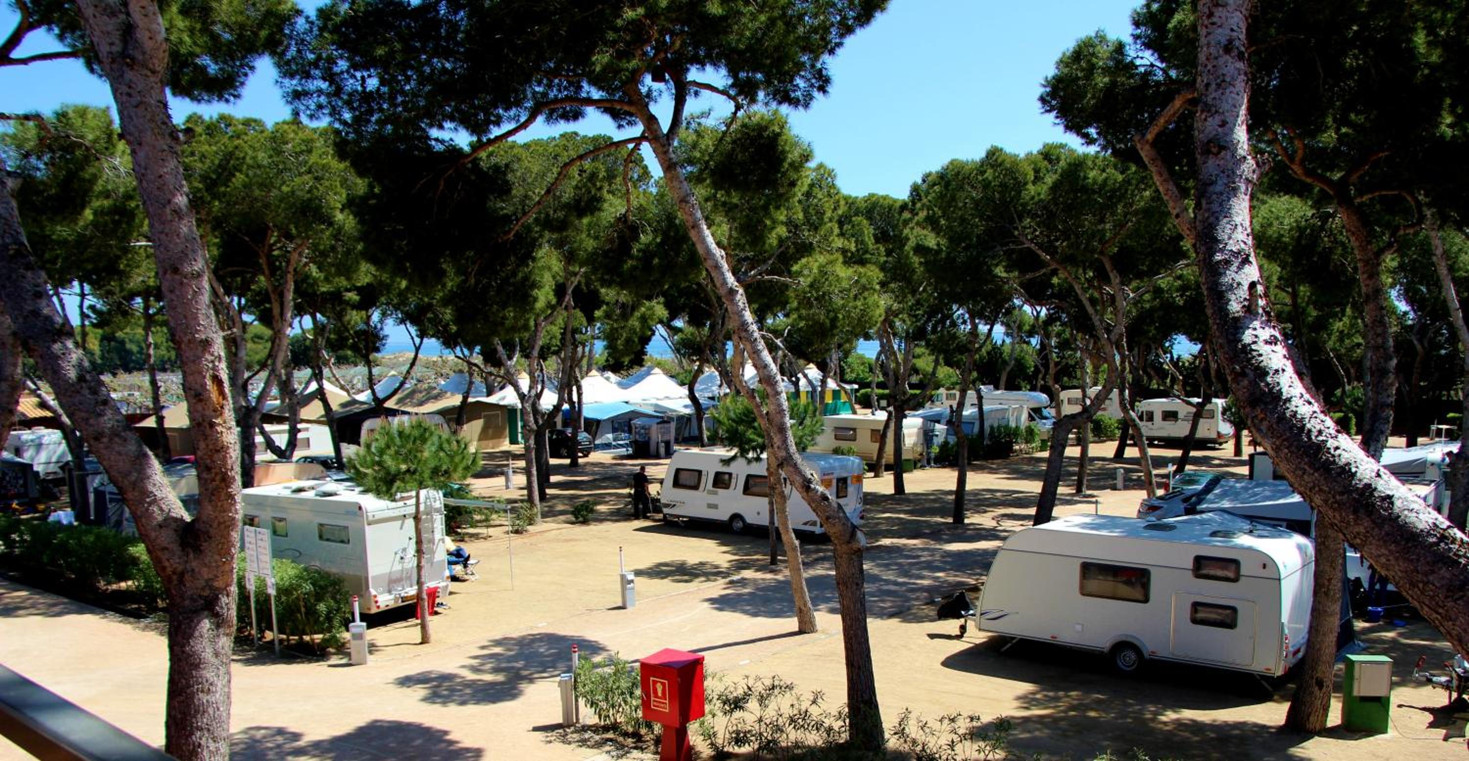 Empty Lot (Bring your Tent or Caravan) photo 3