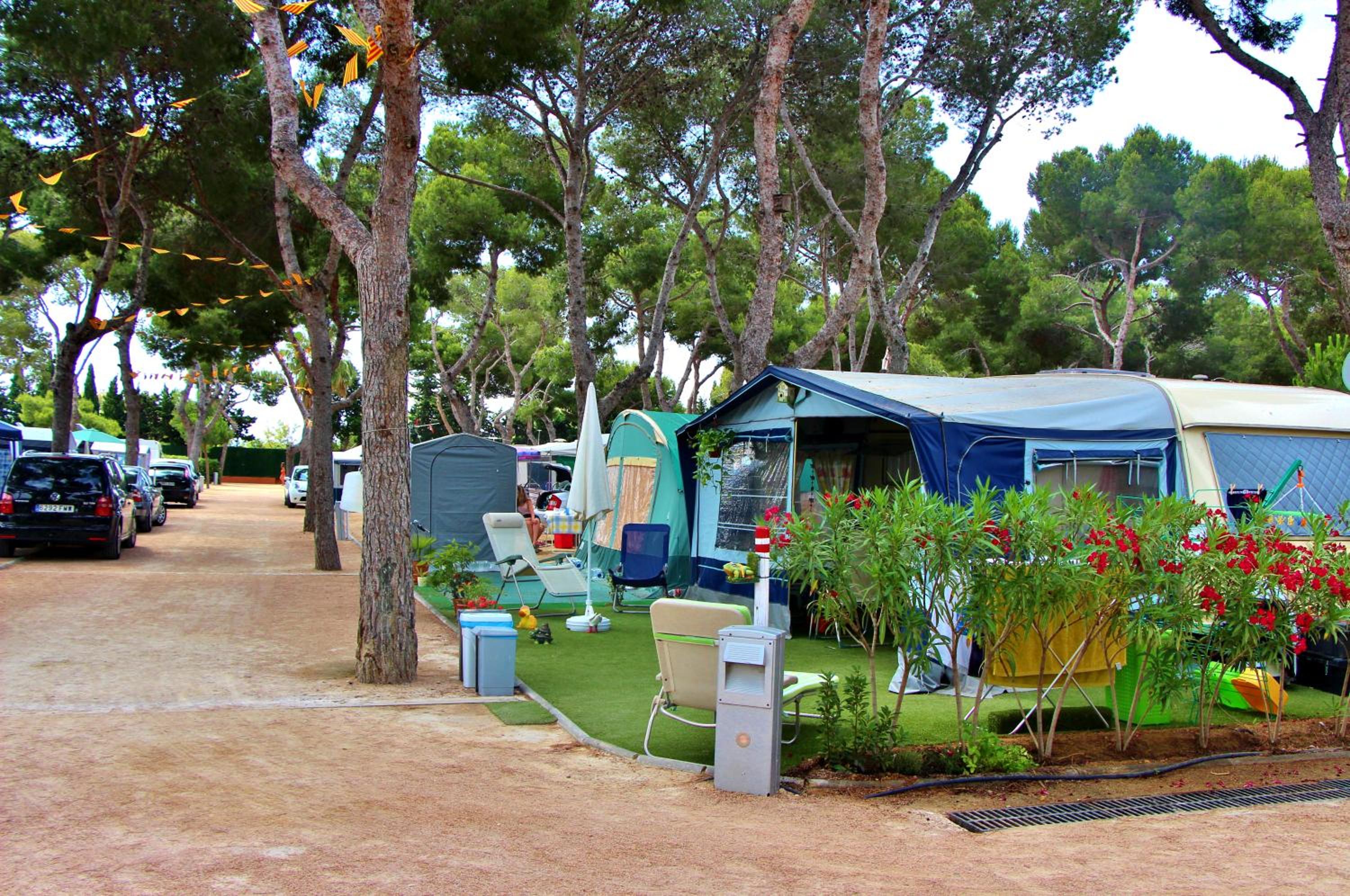 Empty Lot (Bring your Tent or Caravan) photo 2