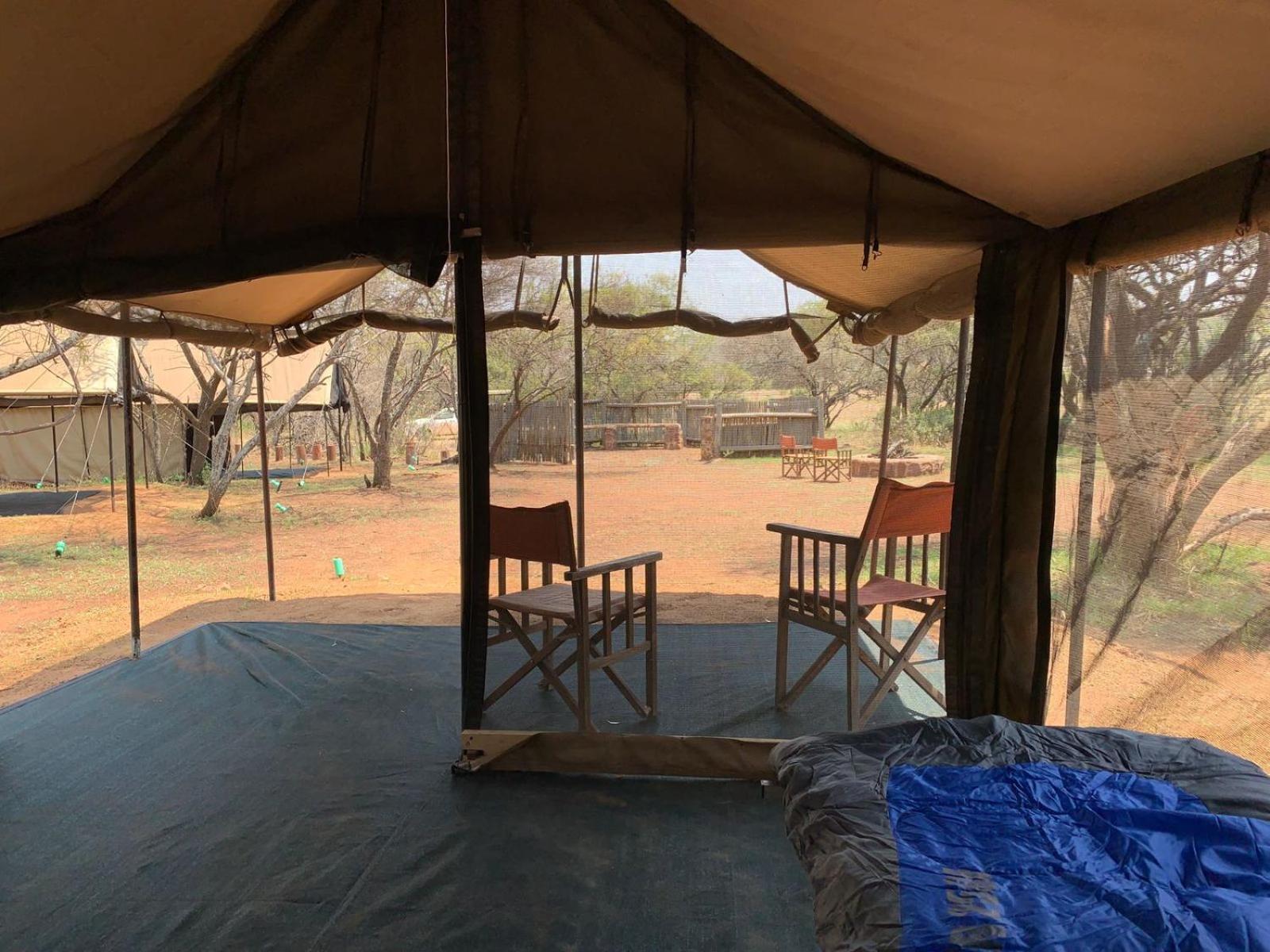 Tent - Little Zebra Campground photo 1