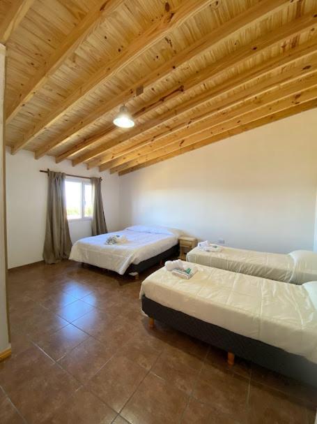 Standard Quadruple Room photo 2