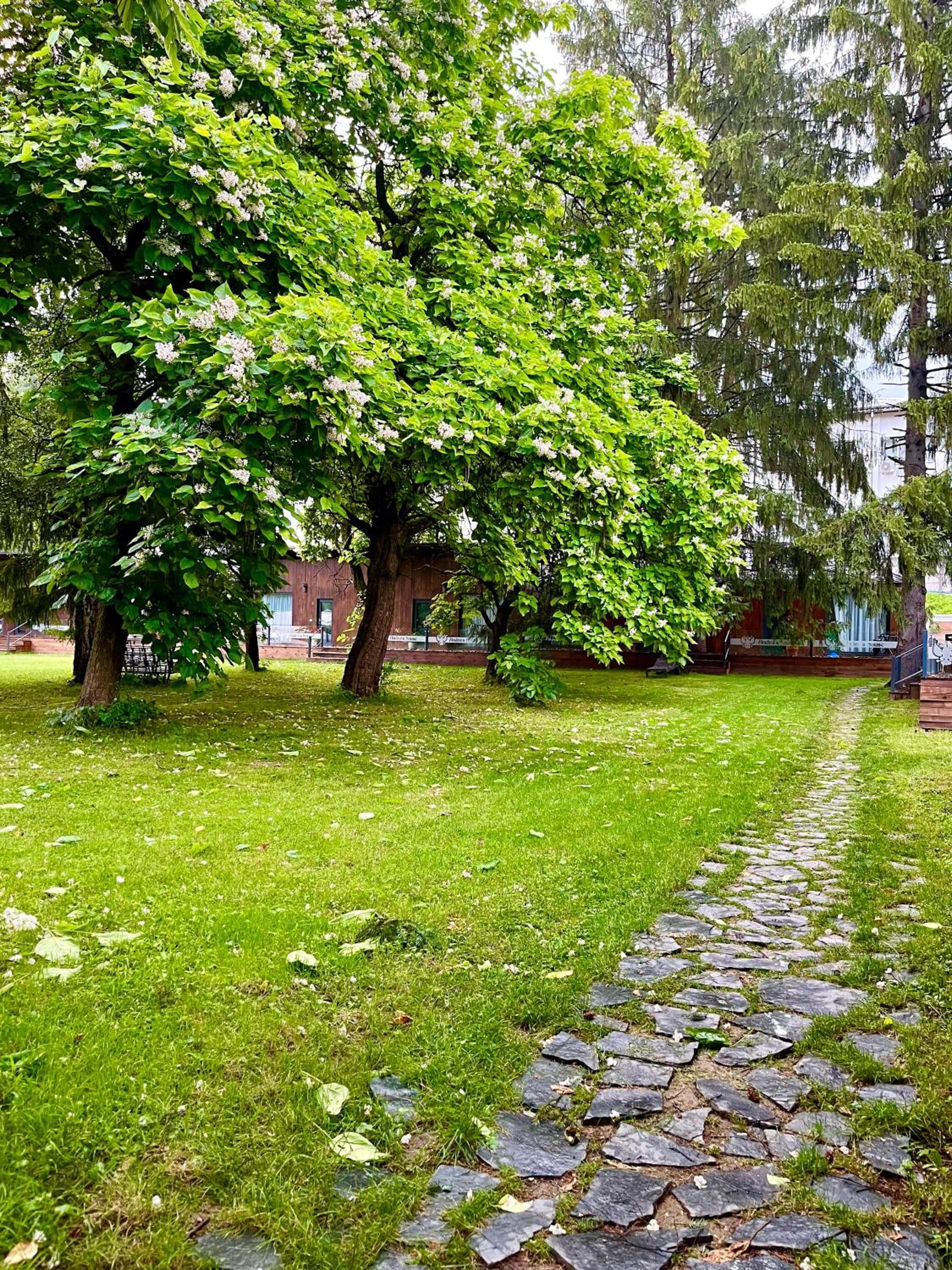 Bungalow with Garden View - Photo 15
