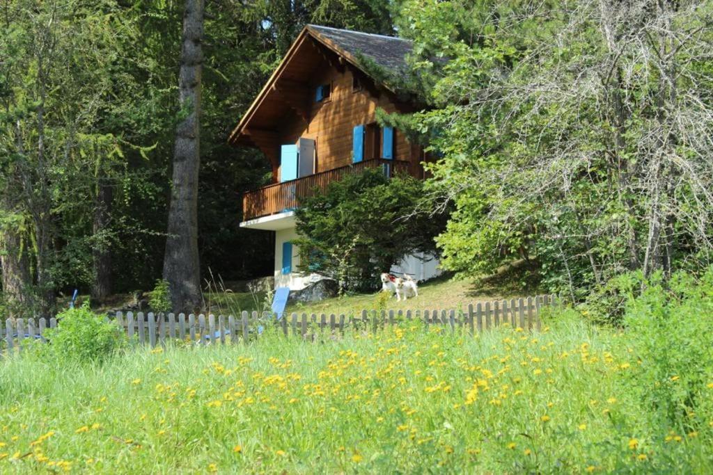 Three-Bedroom Chalet photo 3