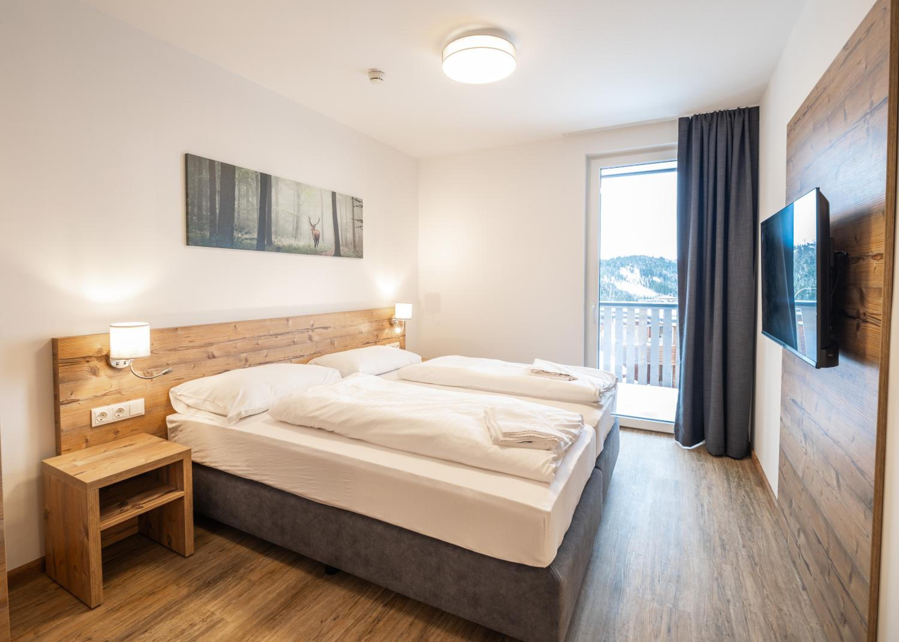 Superior 1 Bedroom Apartement photo 2