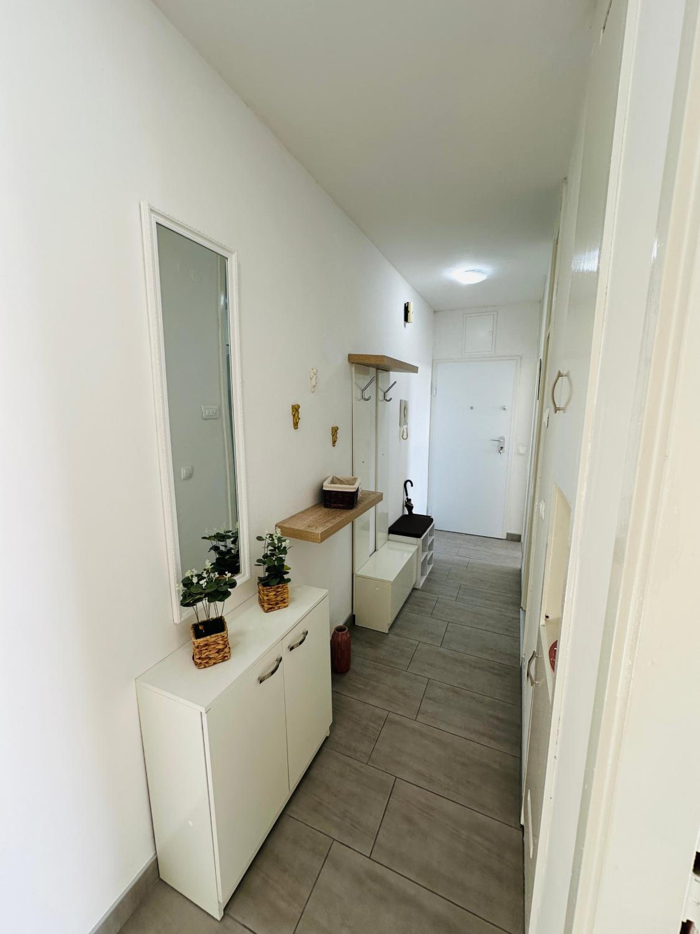 Apartment with Terrace