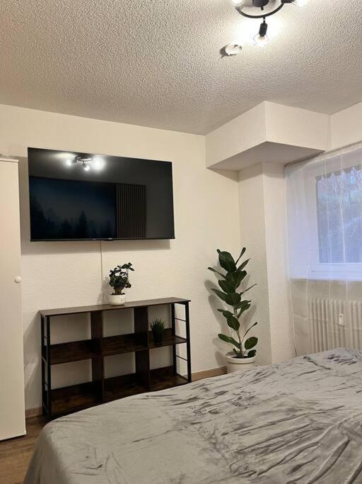 Apartment - Ground Floor photo 3