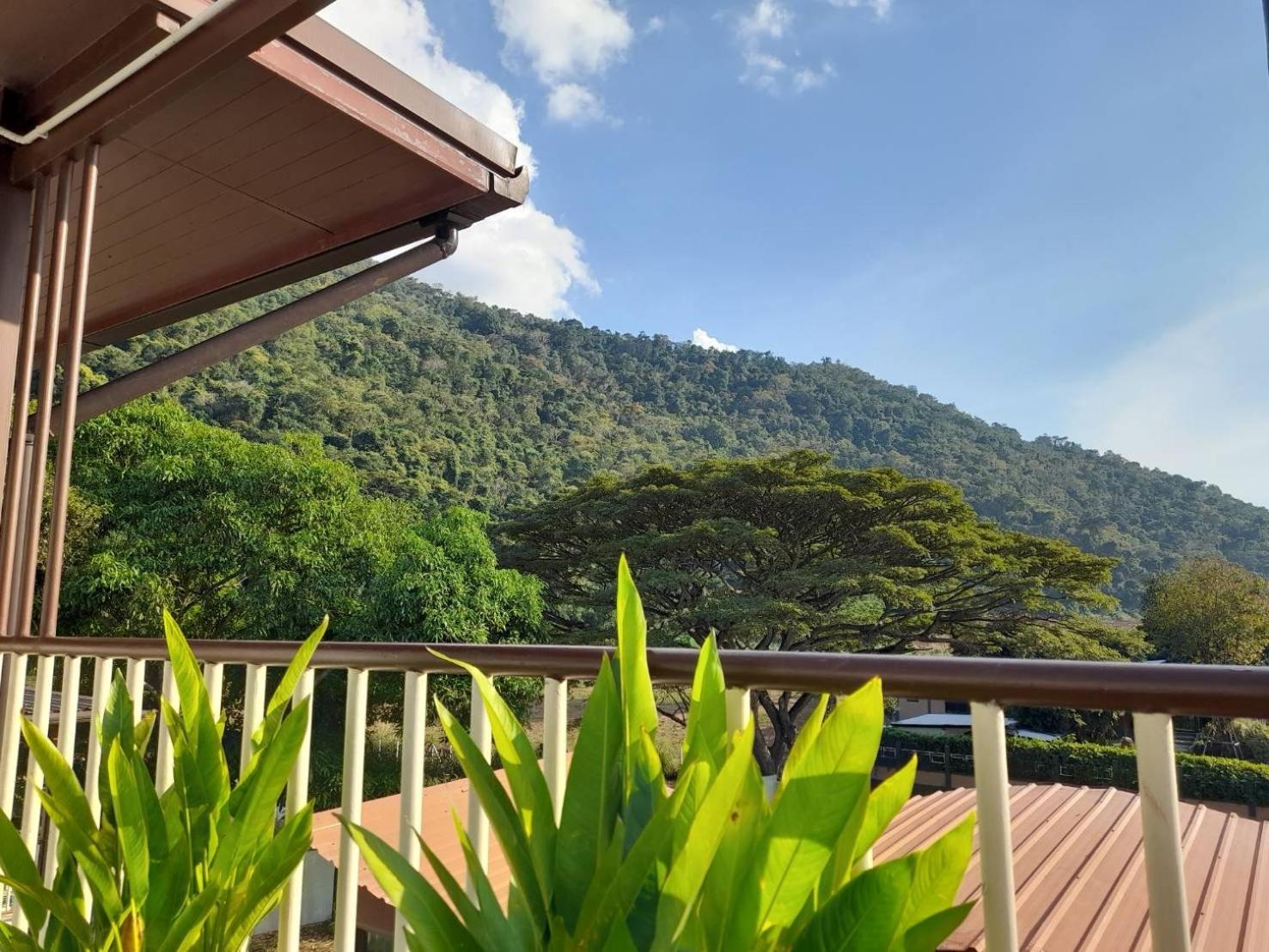 Double Room with Terrace - Photo 32